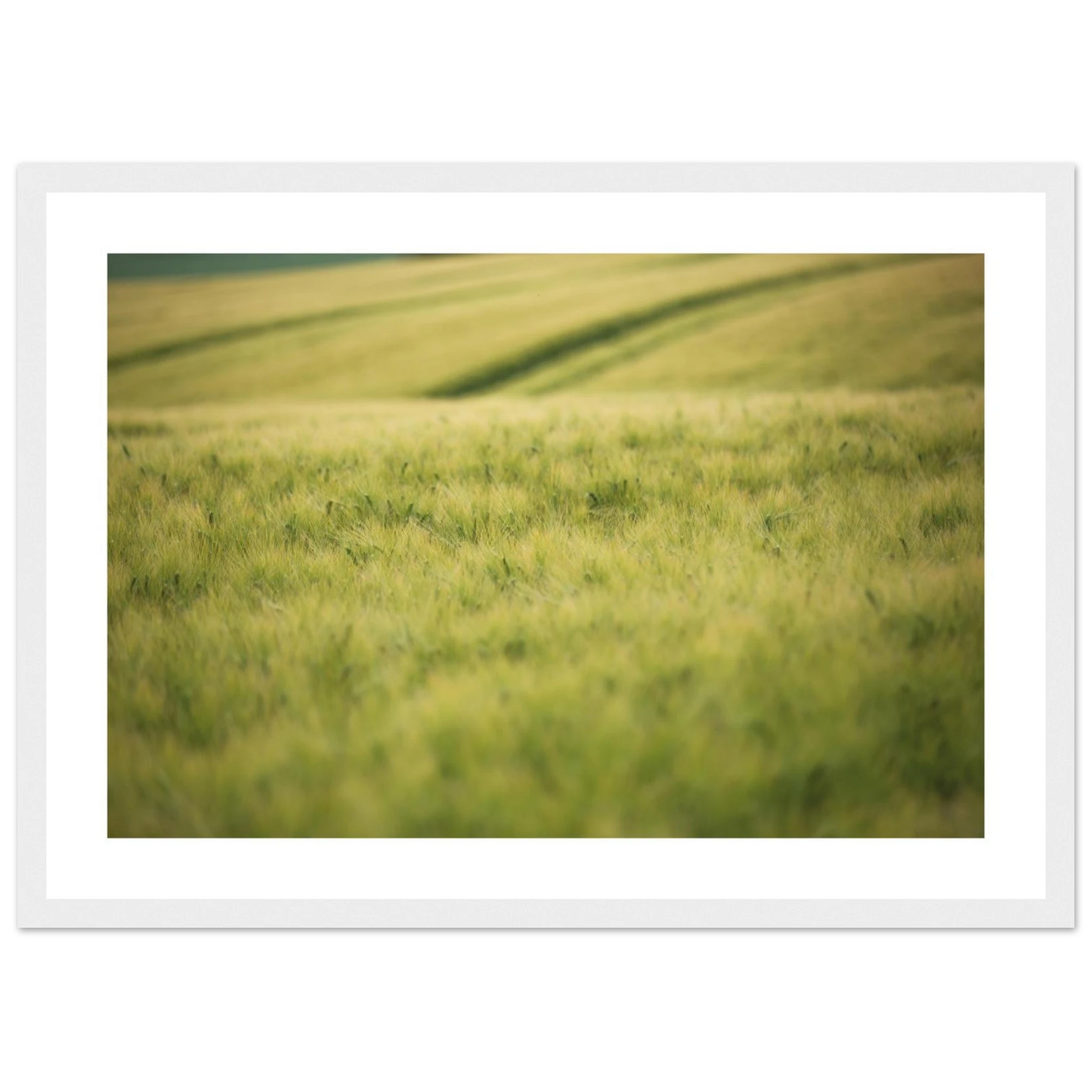 87a89baf-b710-4477-abb8-5b09a1578f73