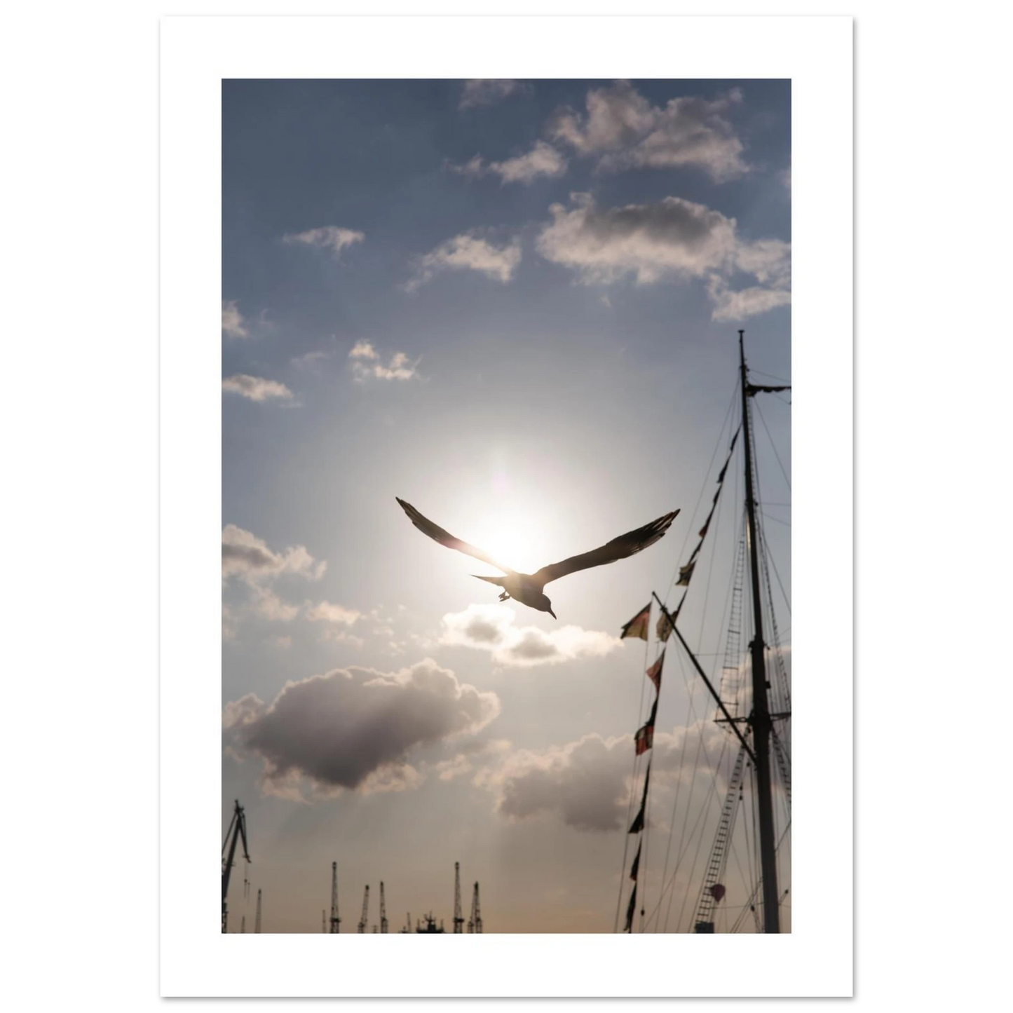 8b687553-fbfe-46df-bedf-8046efa02767