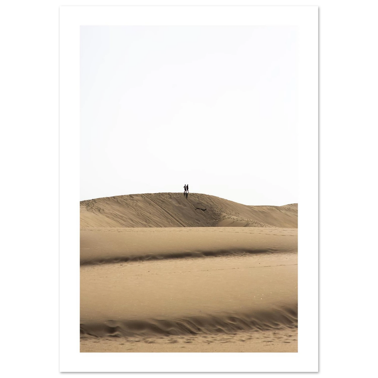 8cbe3b0b-ab99-4aa2-a0bd-260eaad1305c