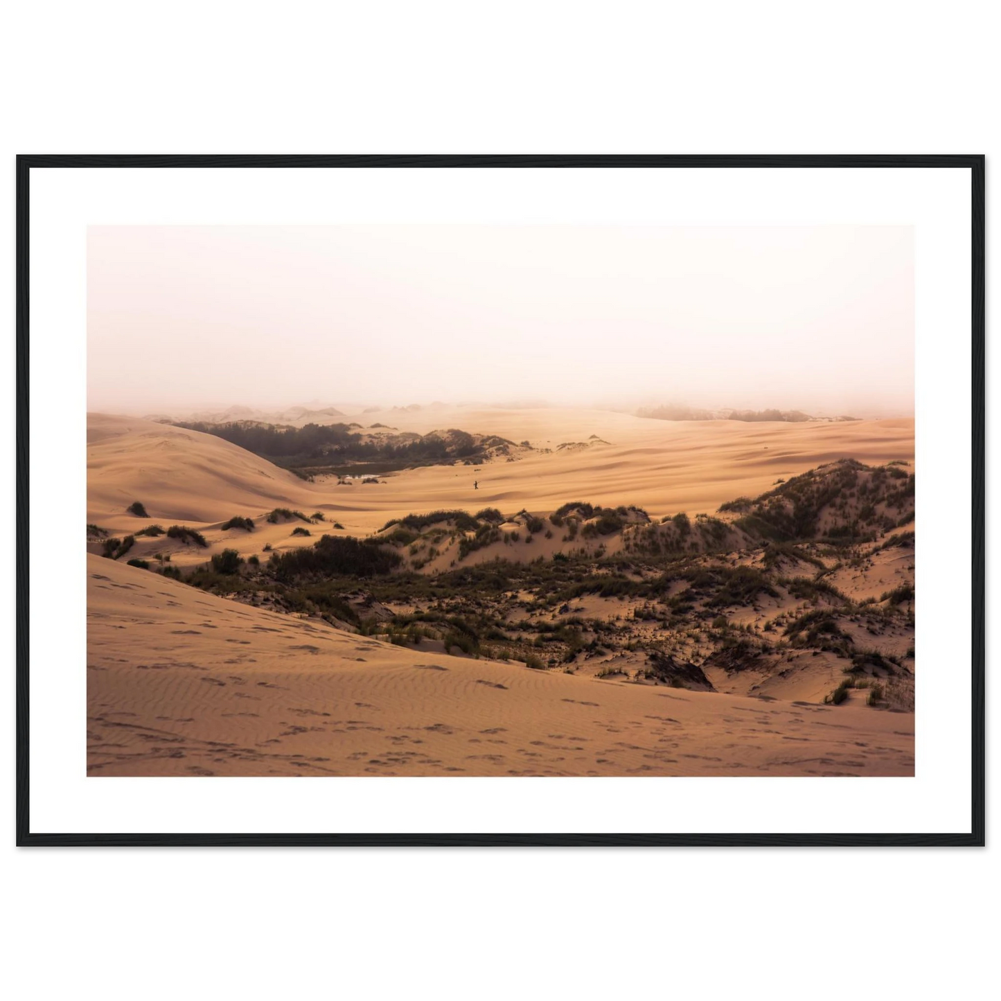 8d1029f9-647c-42d4-bde7-5e1856c43772