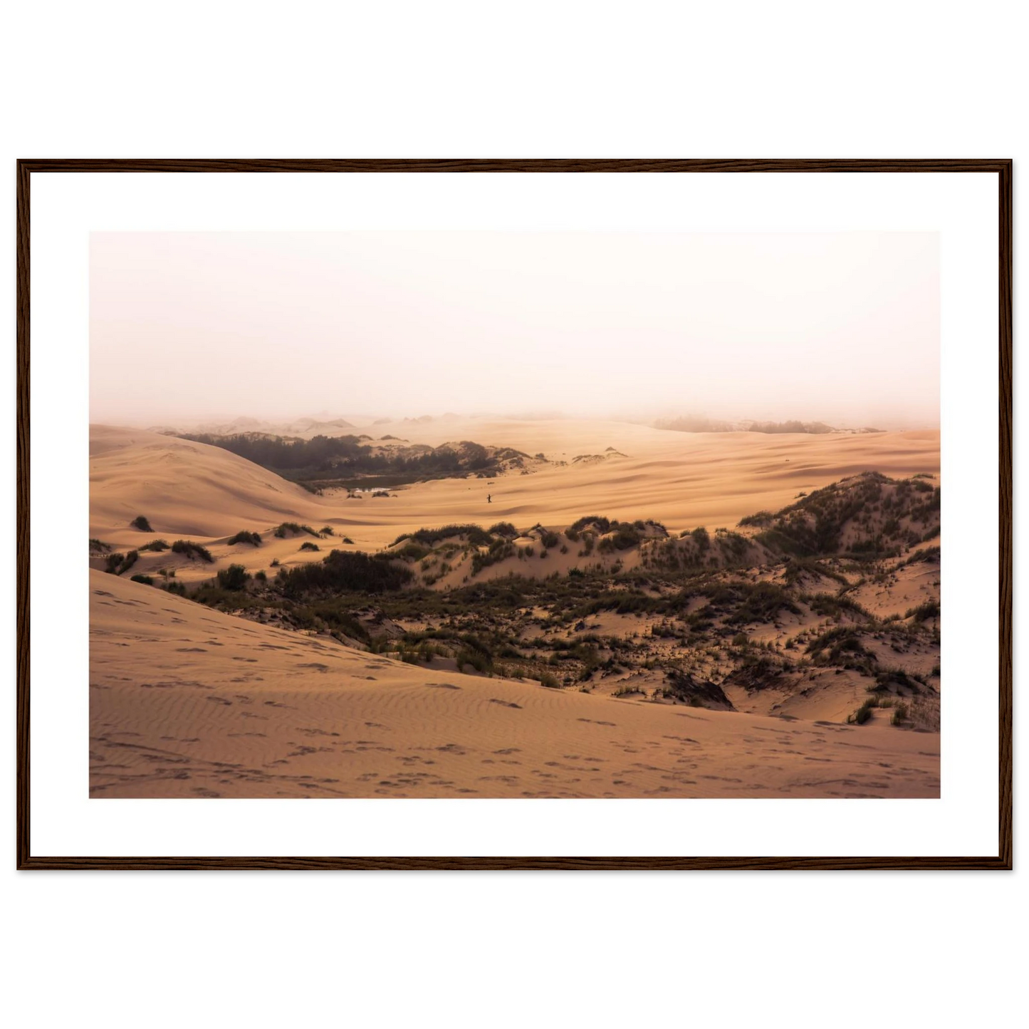 919c477f-85af-4d94-a3ac-53ccaccb2ed1