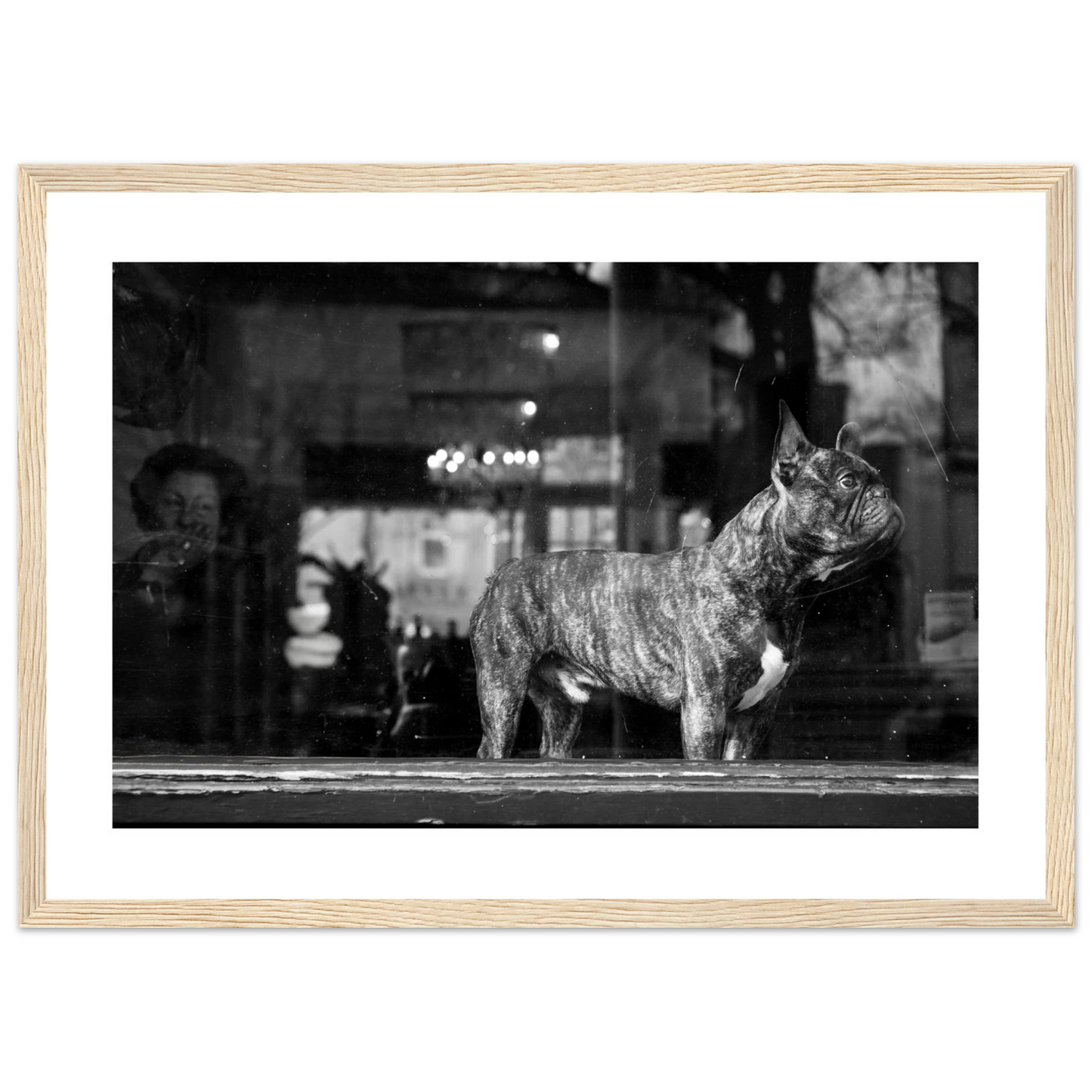 92e04326-1c10-4ac3-abe0-df56dbe9980d