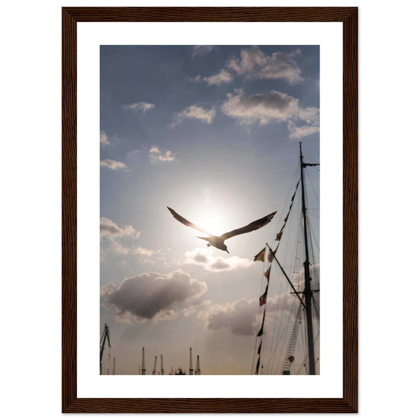 99bf564d-374c-4280-943a-9e2ce6195245