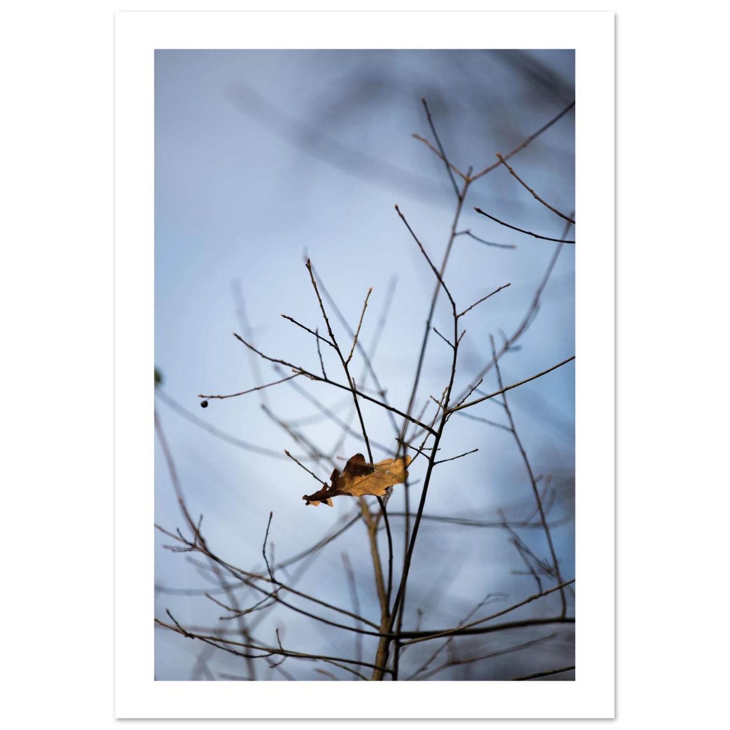 9c53b891-c78f-4ca7-9663-a24559442d50