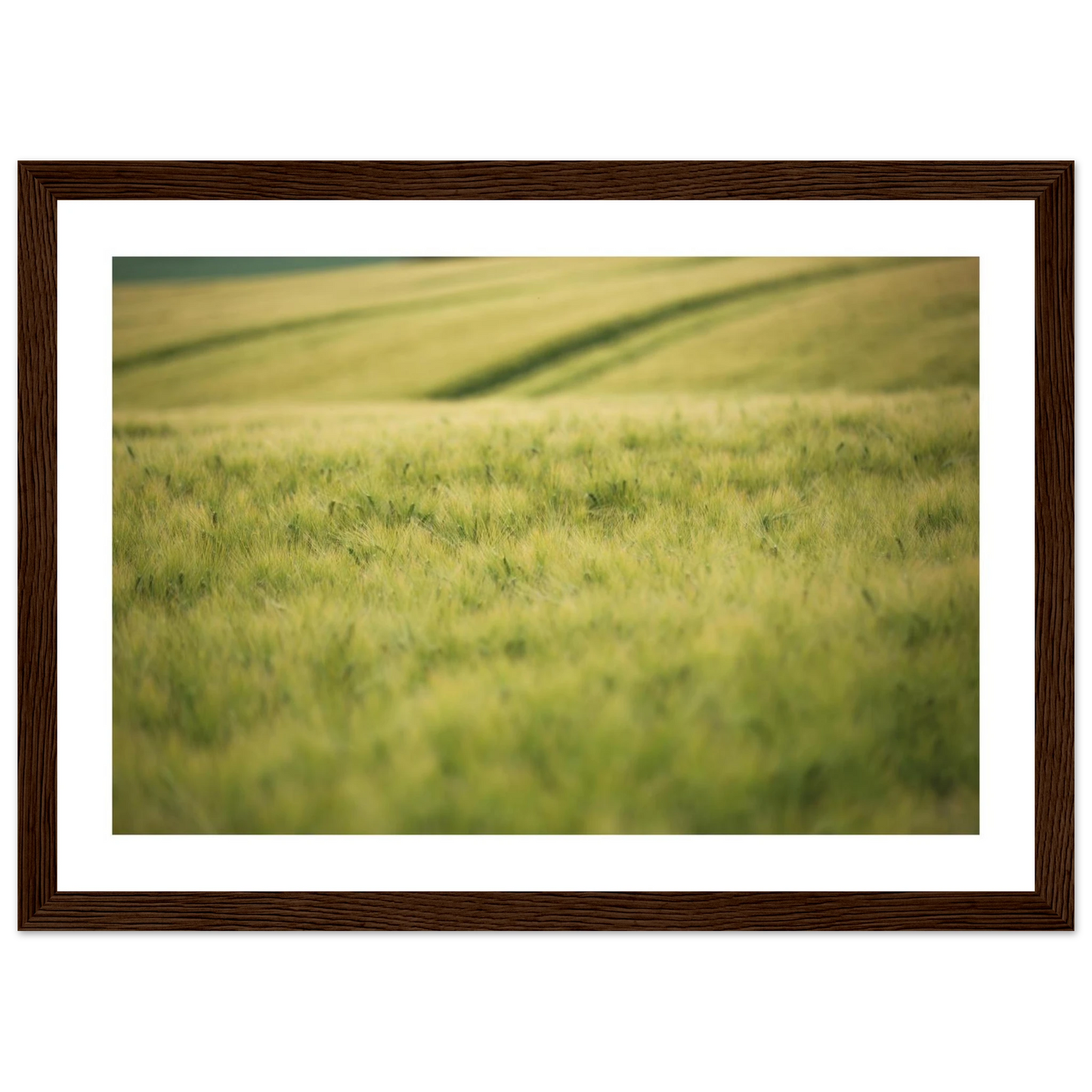 9d06eefd-4d49-42f8-bd19-4150a3c9ebdd