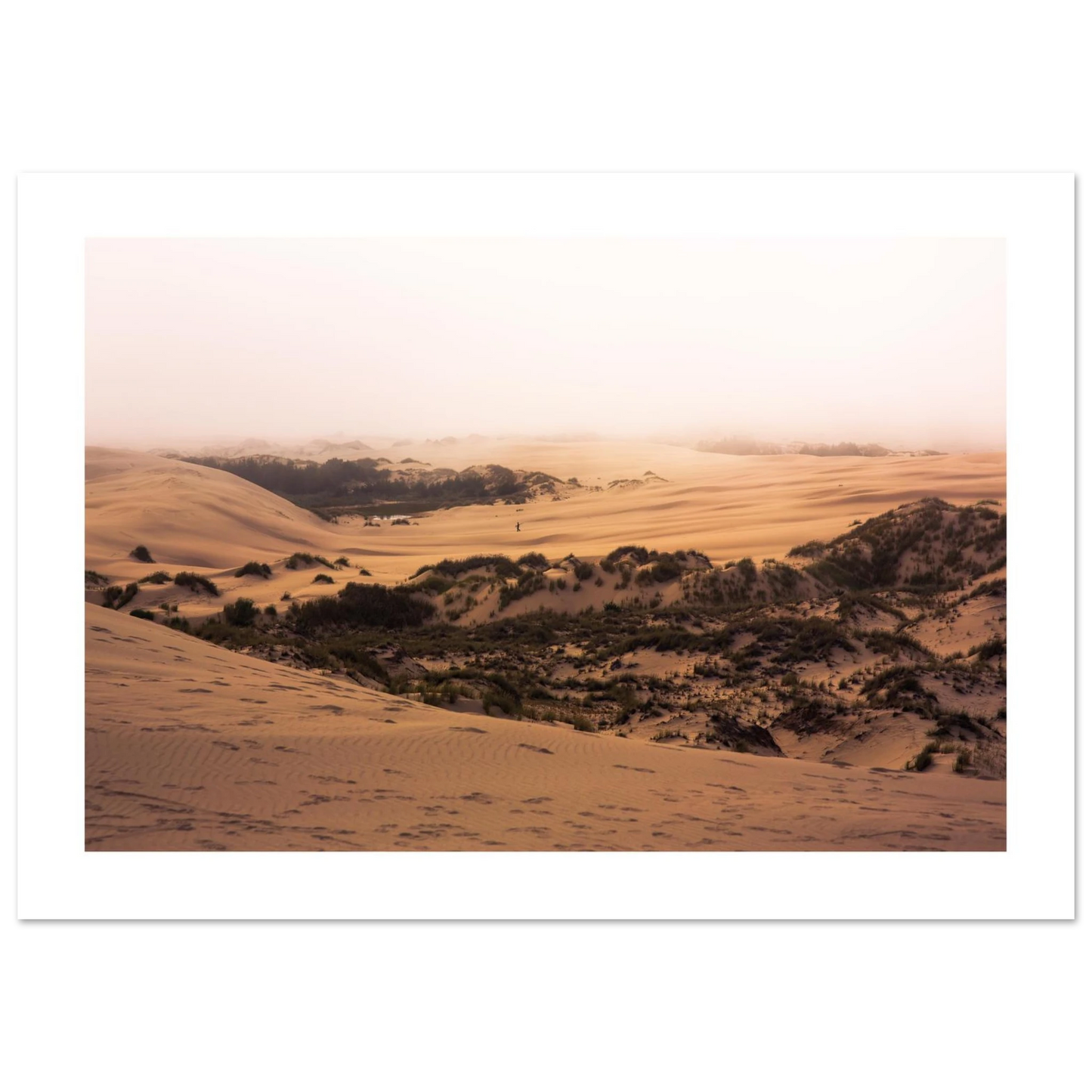 abd194d7-72aa-4e7e-aaba-30b4742f2d09