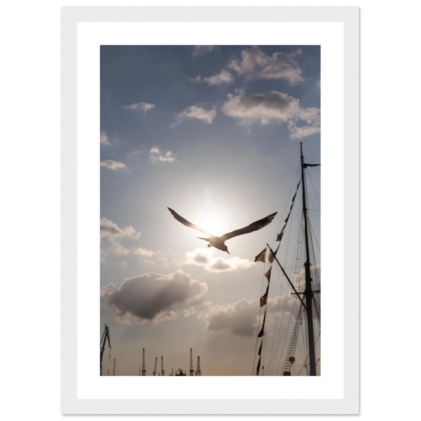 b0663a87-fe6c-40b1-b844-33a3748f3bc2