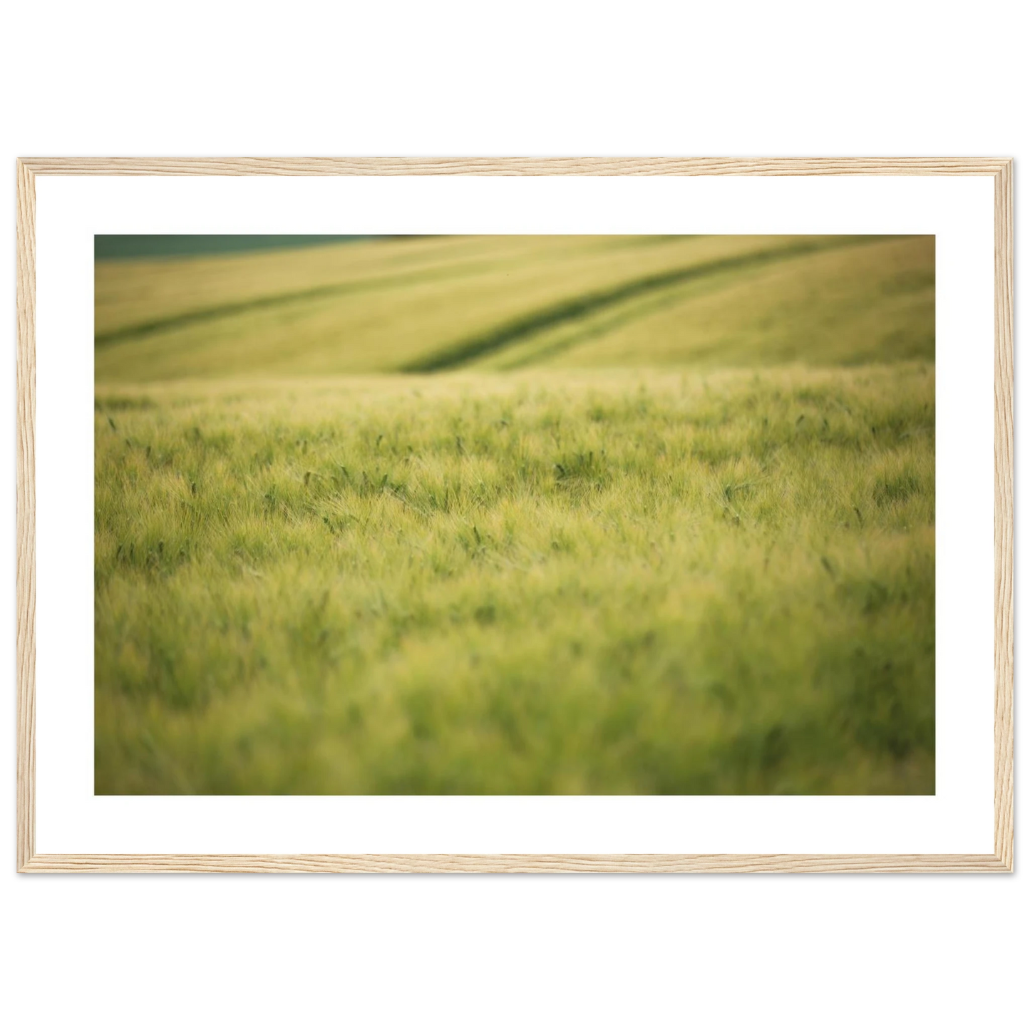 b40e83a7-4623-4611-996c-e8a7d09b7912