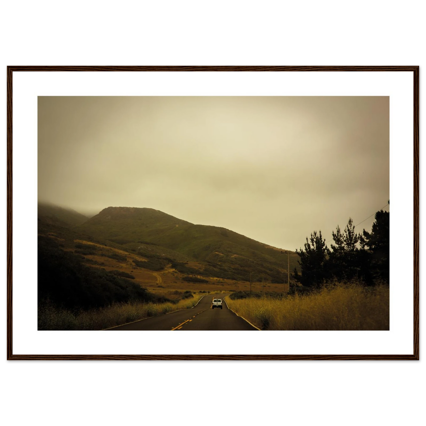 b80edb10-2b7e-42be-b959-63a667137568