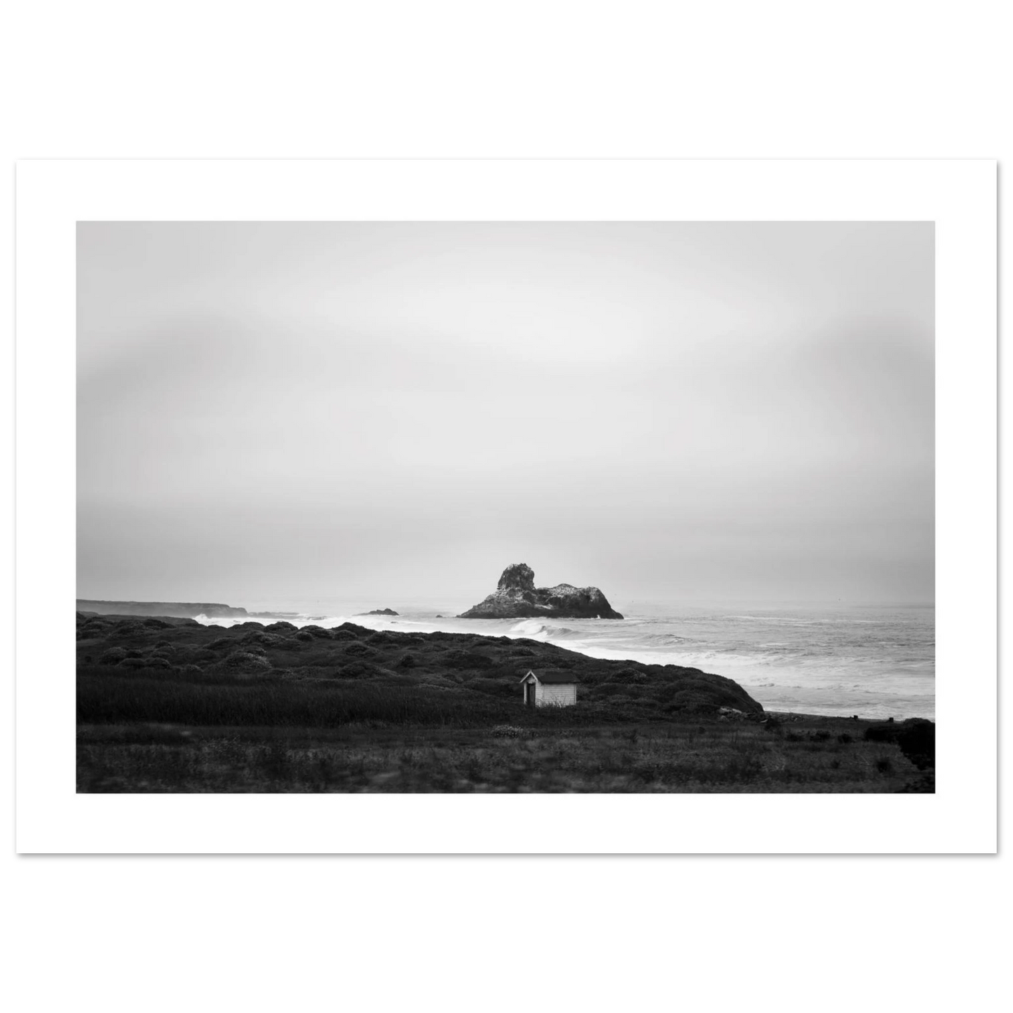 b8ab0572-5307-4fca-824c-8497d4da3bb6