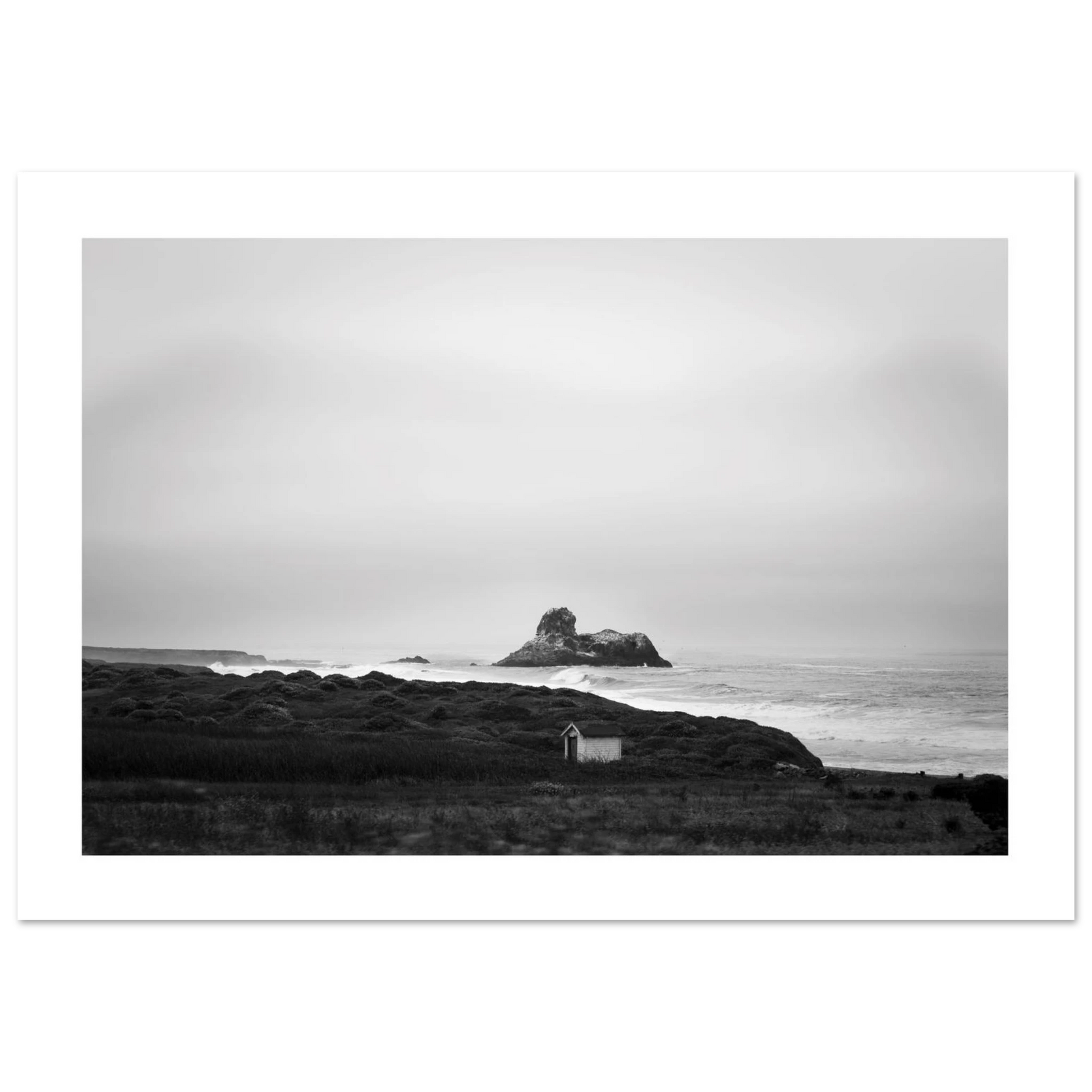 b8ab0572-5307-4fca-824c-8497d4da3bb6