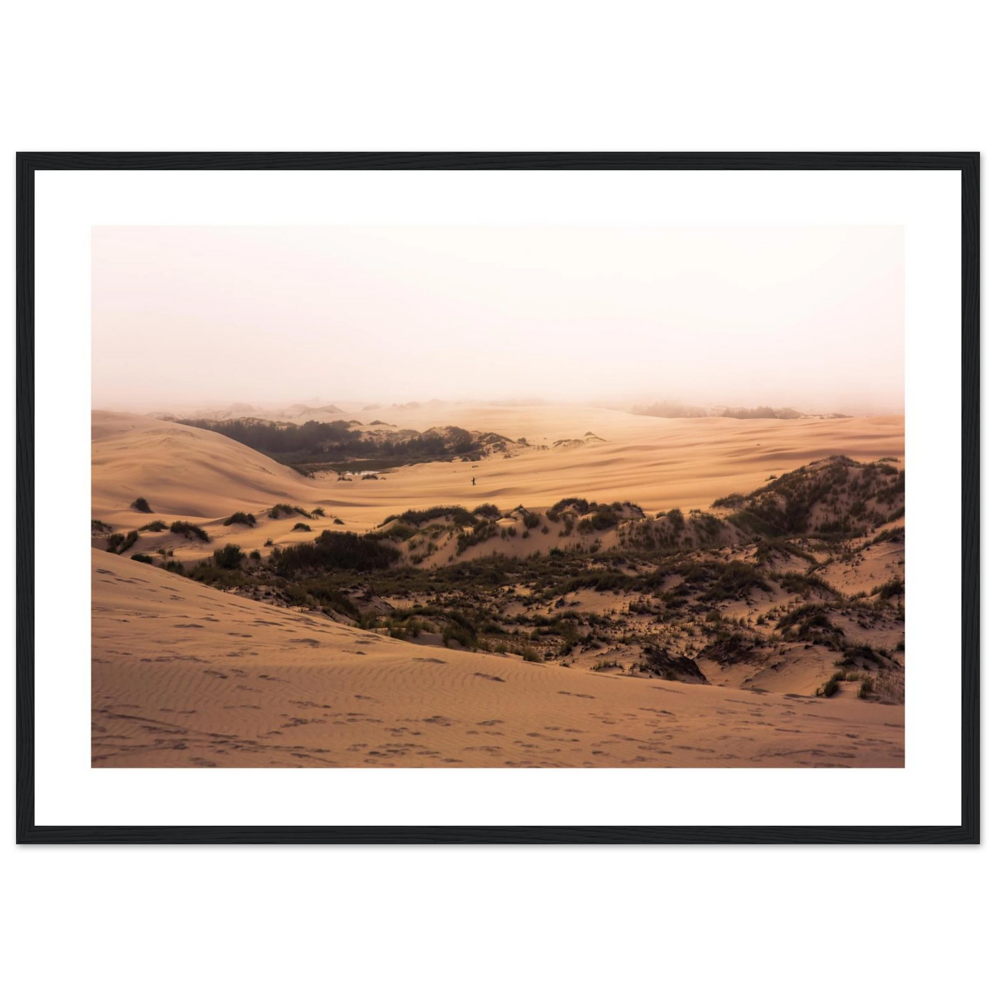 c09768fc-2536-43da-b295-1dea6ac05600