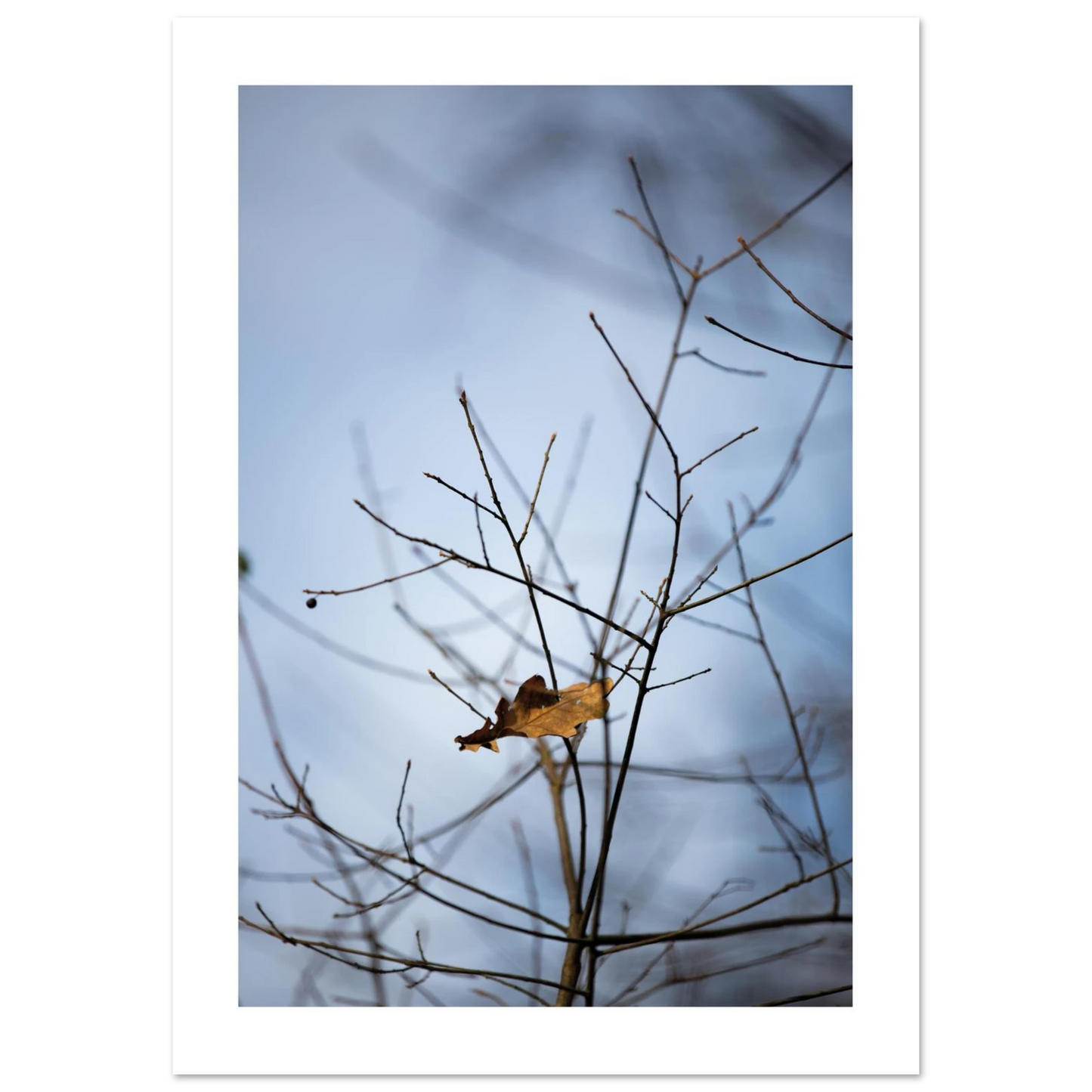 c17dc799-b0d5-498b-bd3e-2a0b24c0c240