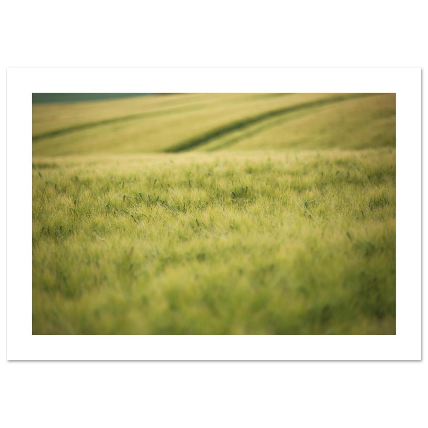 c4babfe4-9281-44d6-9bcb-f4748c021fbe