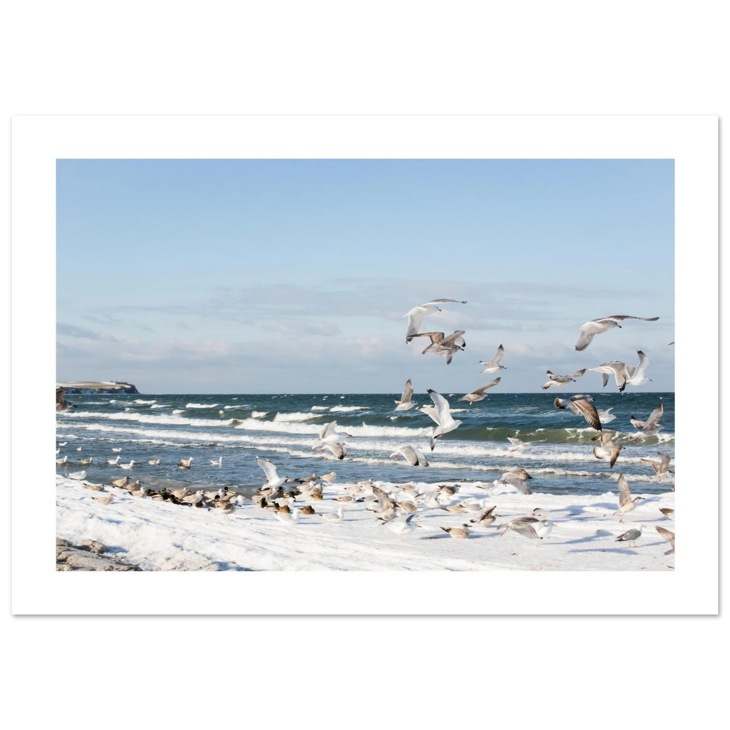 c65e8cb6-0ad1-48b3-915c-a0d3d05f7459