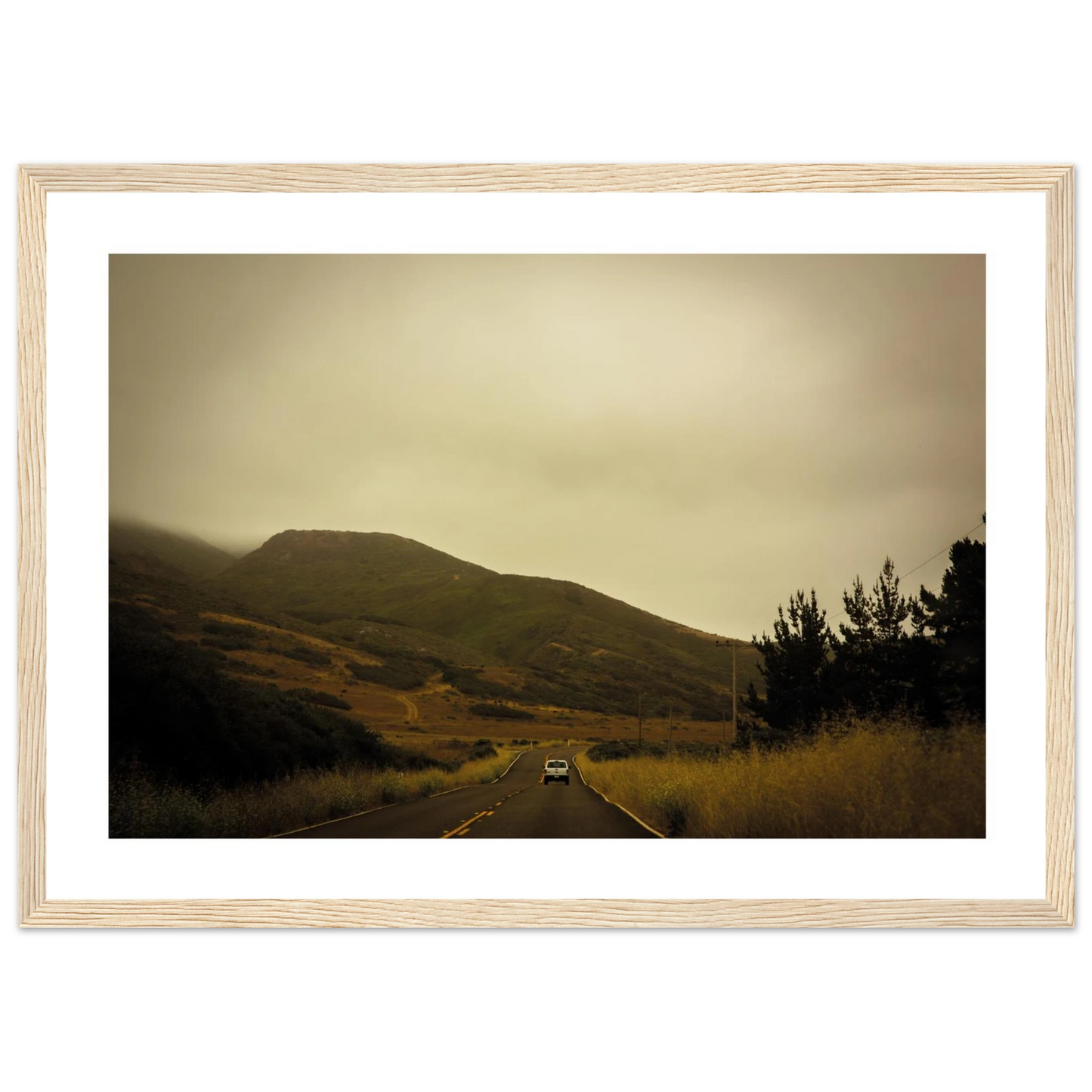 c797970d-a686-4b00-af88-5da76044cf60