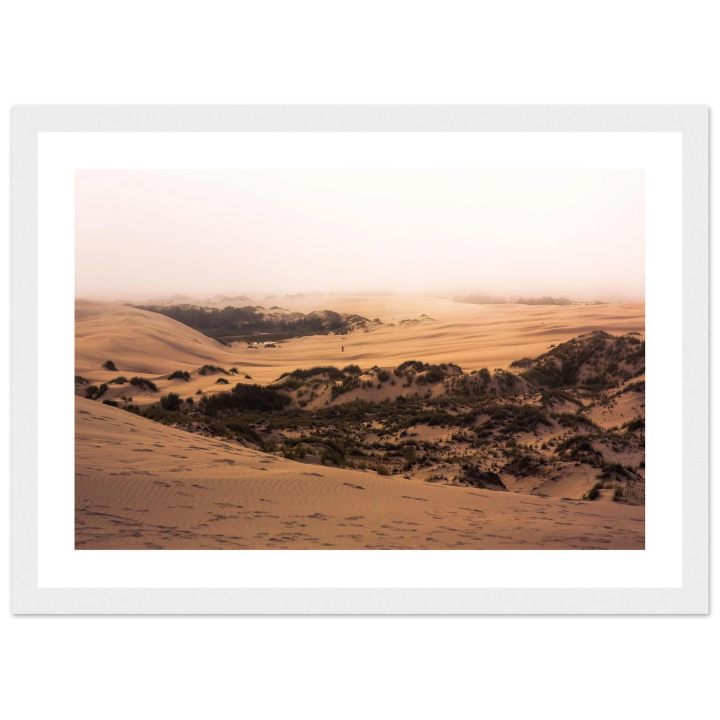 ce566f58-26aa-43e1-be18-901657a42fd3