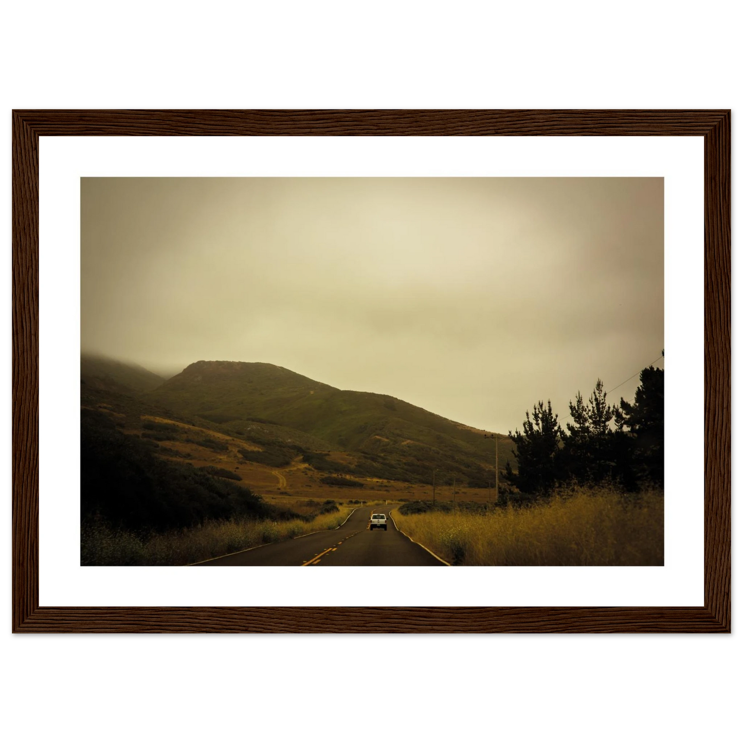 cfb7a732-5da7-4195-9496-f76b637e36ee