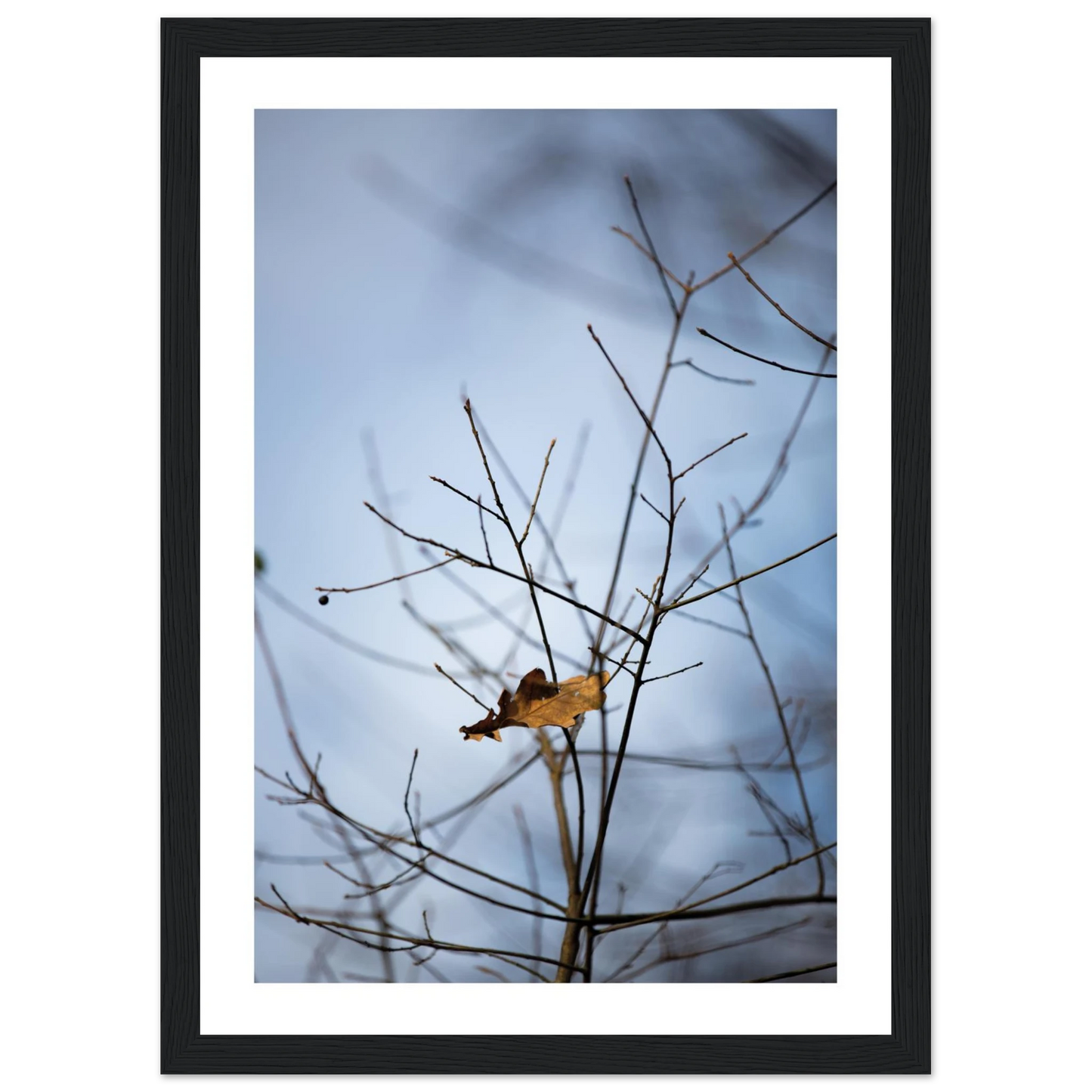 d1f9d10b-ae44-421d-bb3c-39ed3c59c825