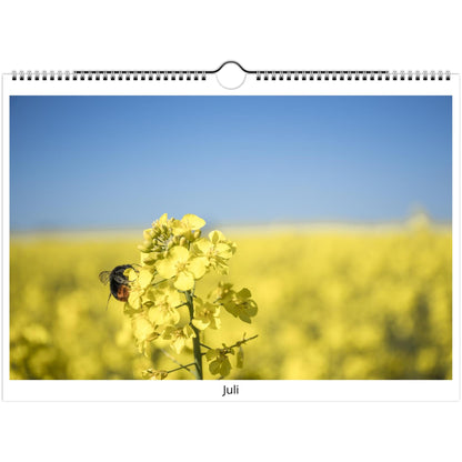 d237adef-2bb4-49c2-9608-d9304367decb