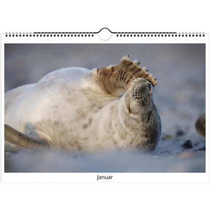 d29b99eb-3b95-4409-90ab-c13b29ac300b