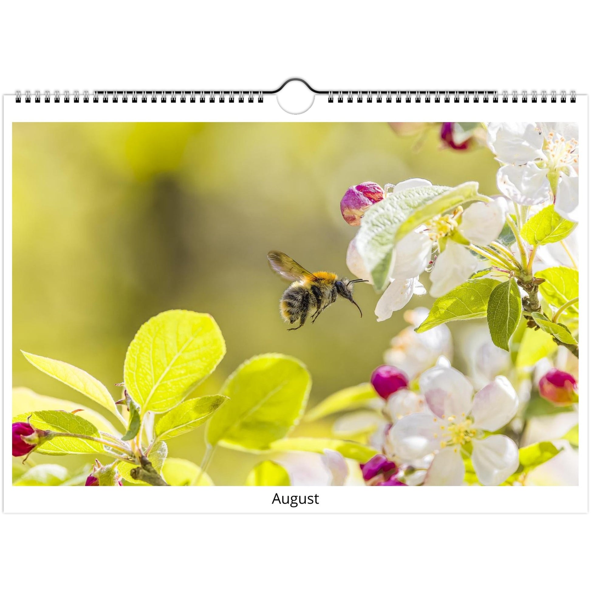 d3e38fc2-6792-4849-bc2d-3d48534b69af