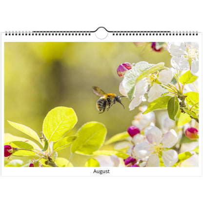 d3e38fc2-6792-4849-bc2d-3d48534b69af