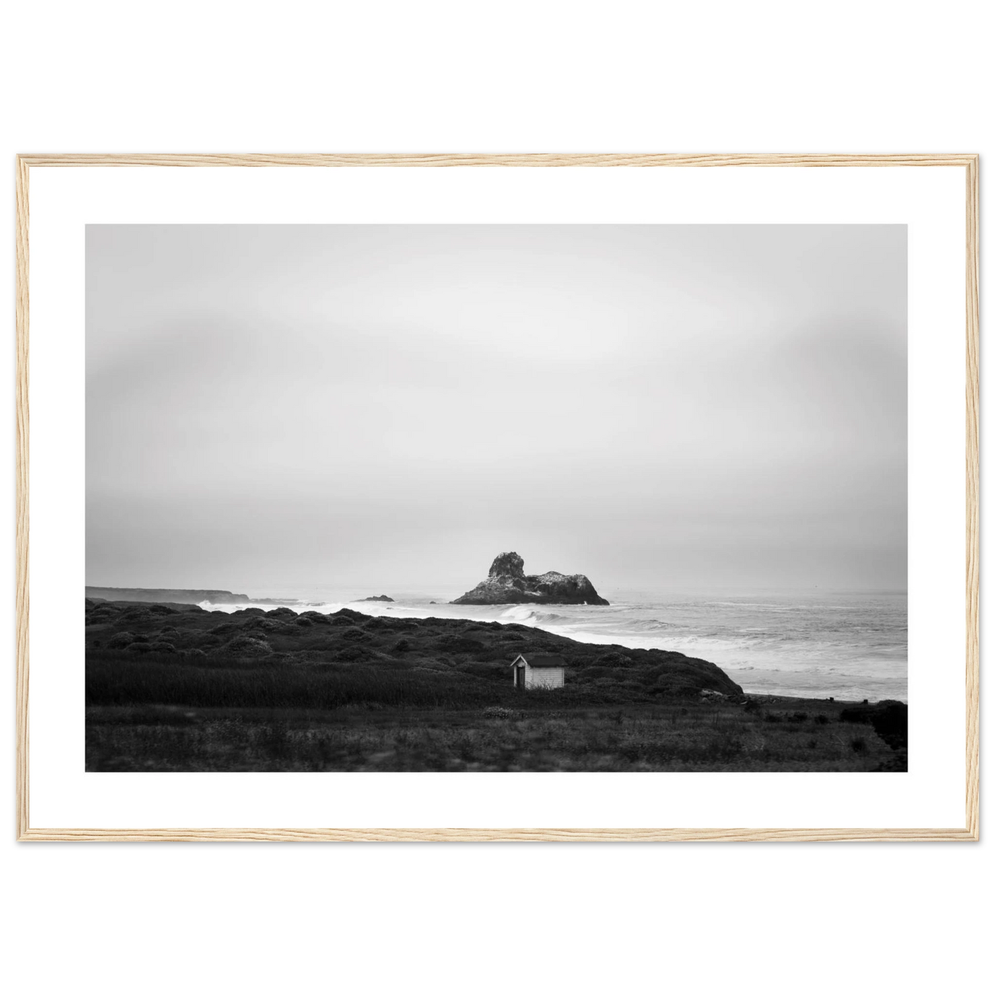 d551ace6-cb62-4277-aa7f-1271ad70d024