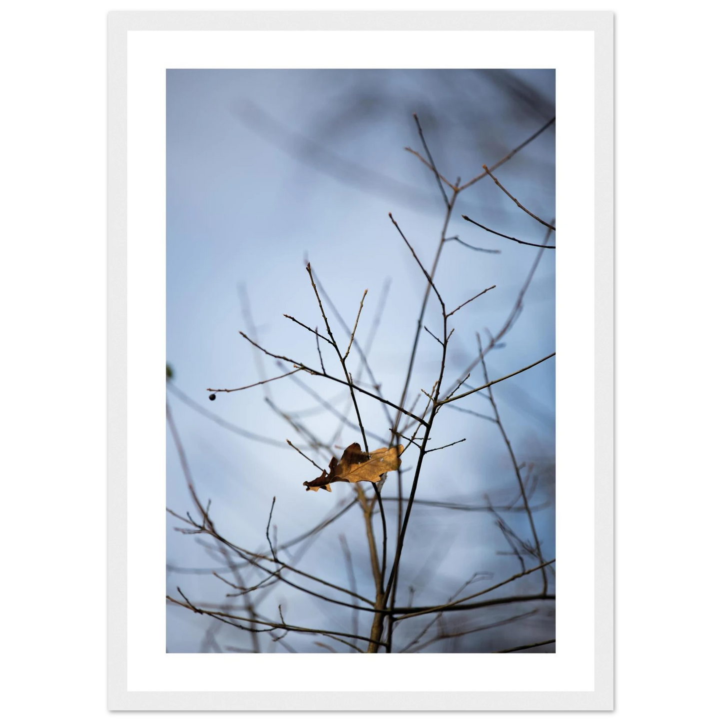 d619c27e-c70d-4f03-aed7-55b2e48c8f44