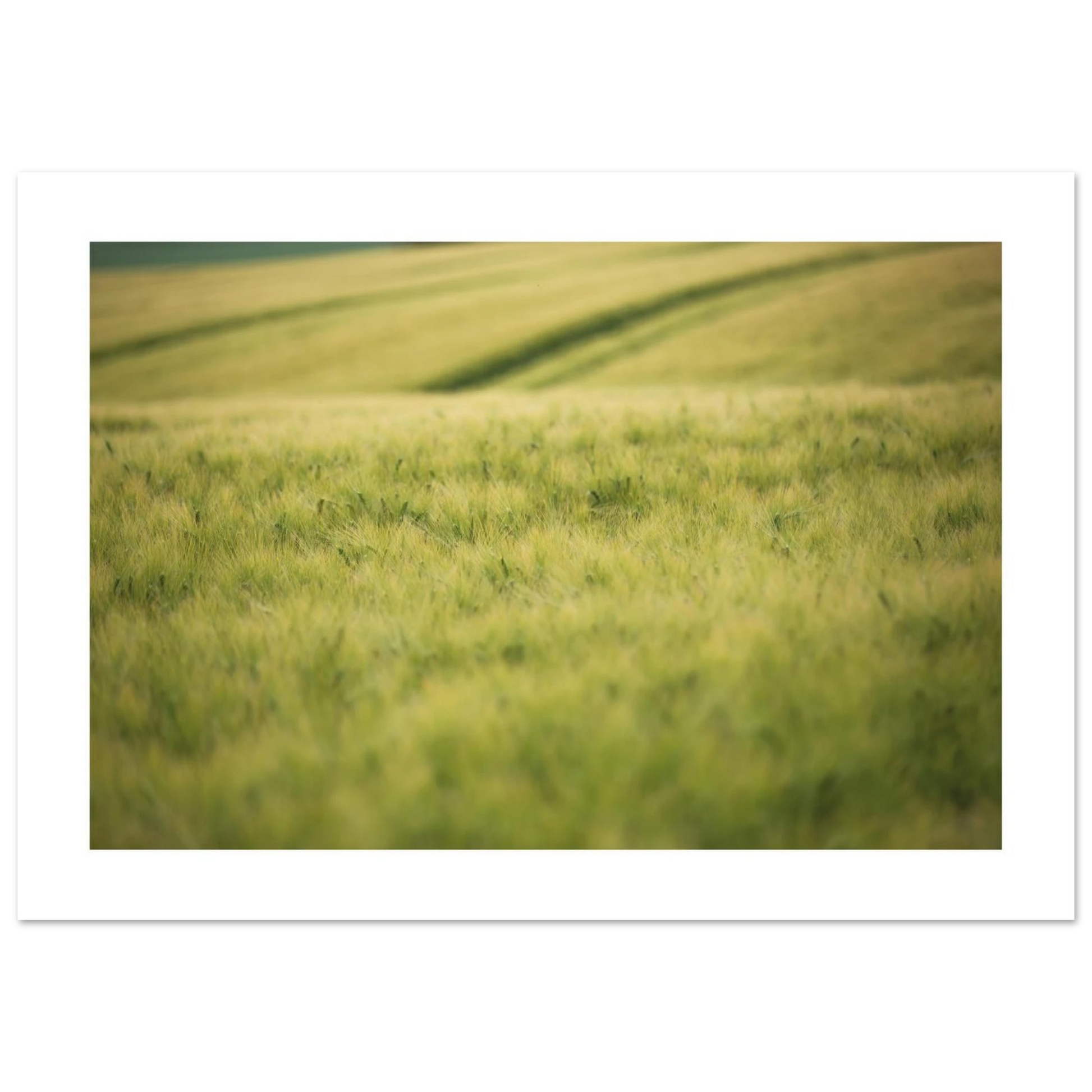 d78717b2-373a-418e-893c-704874f2eef1