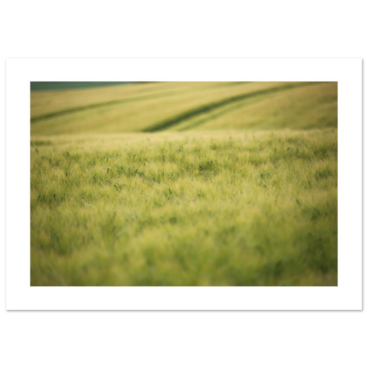d78717b2-373a-418e-893c-704874f2eef1