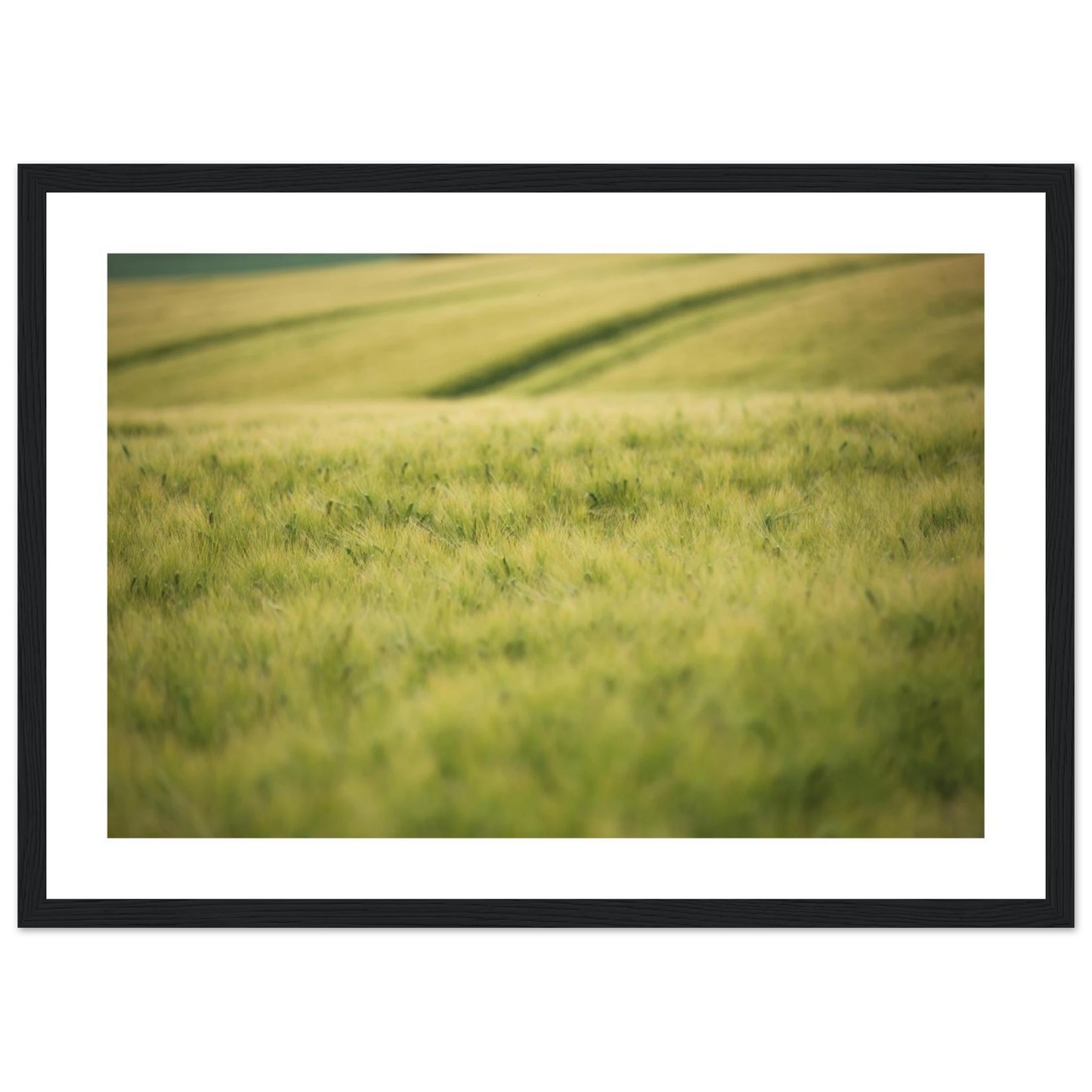 dfef4cdf-9854-4cf4-b1f1-5e2174d30e3f