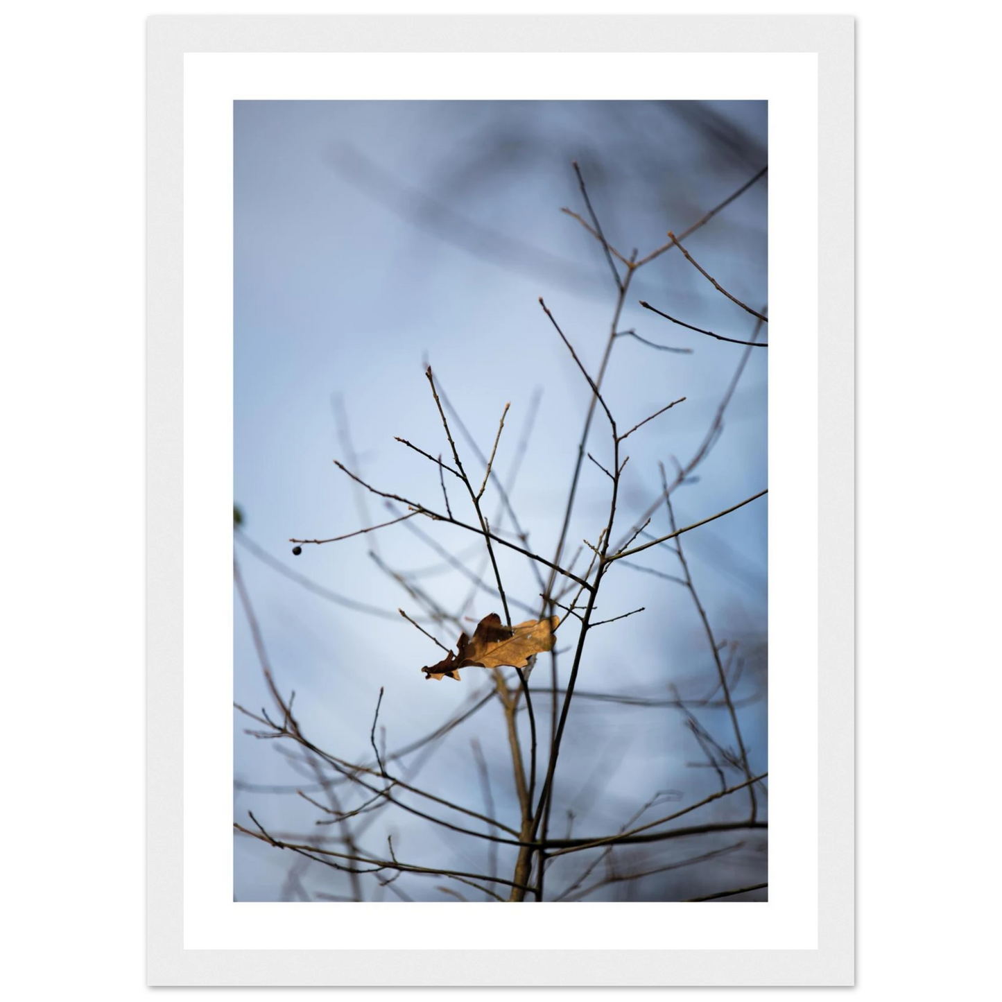 e1f51a4c-58a4-41c4-ba10-d5c0e69a61ab