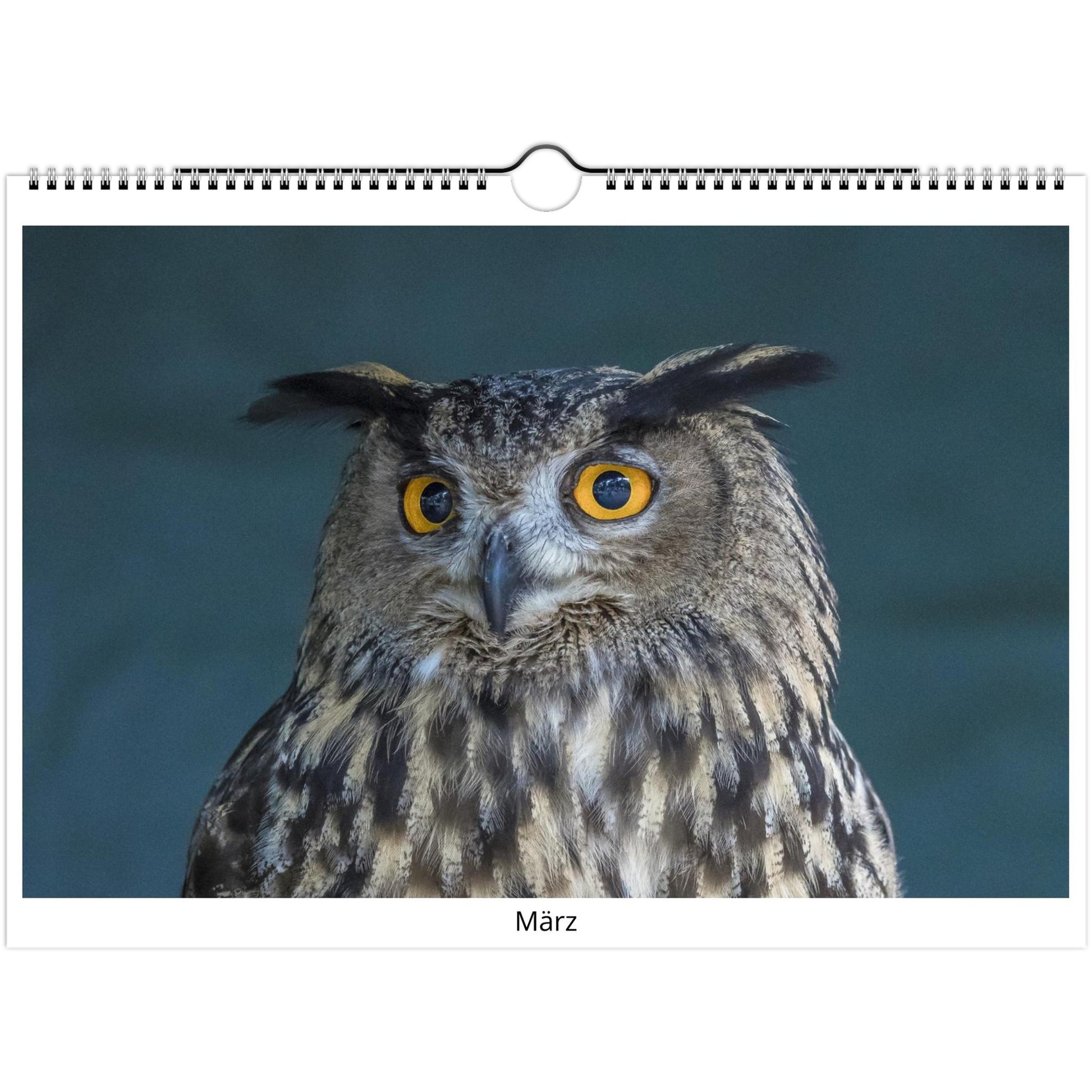 e2bcd537-0e07-418a-8947-7fd6a10cc0c5