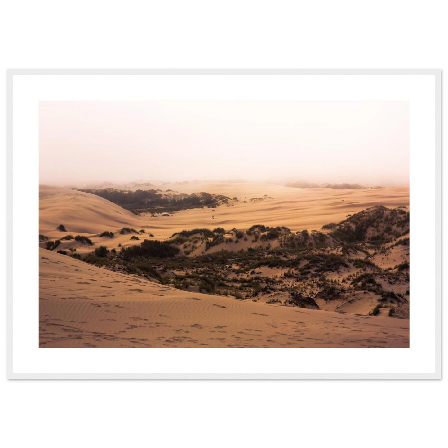 e62fa111-b0dc-4873-883d-a048dbe376cc