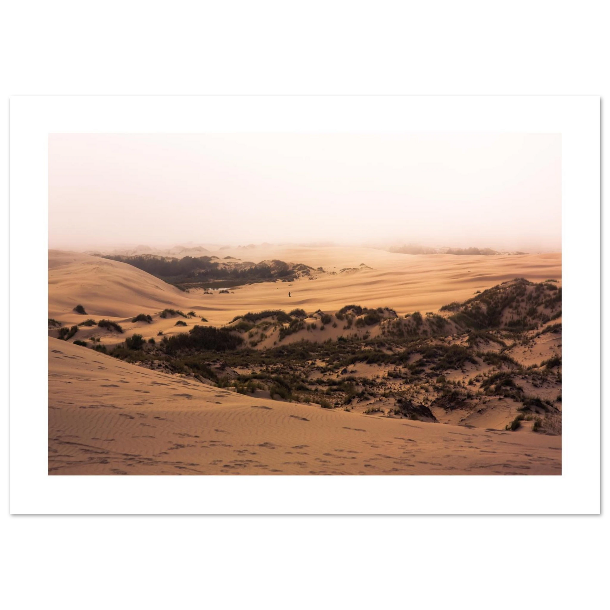 e6e03b0f-b90e-46d0-9d15-68dde7d226bd