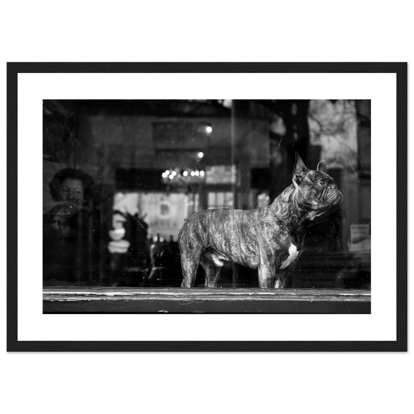 e8585a4c-bad6-4e0d-9db8-66755594d30b