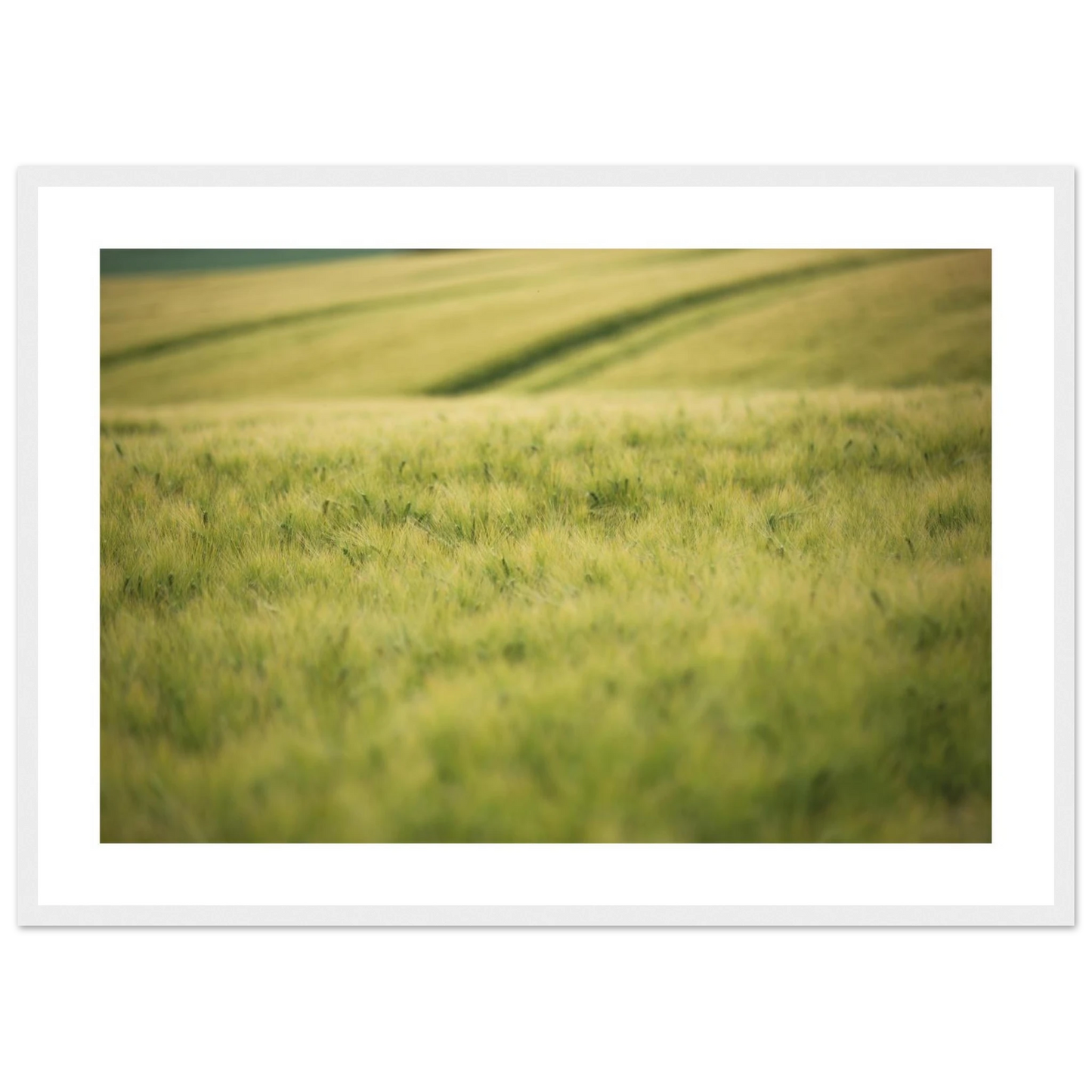 e9b66ef9-5554-45b8-bb15-52dc13135e88