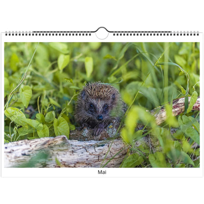 ec6a6c39-831f-4294-9889-b1b8149cb142