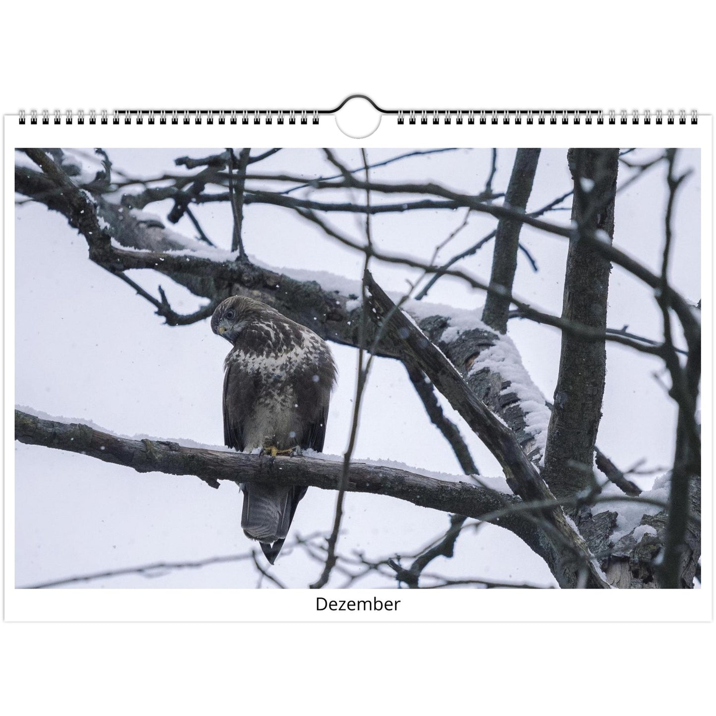 ed317156-9134-4d72-8ee5-03e0e4cec227