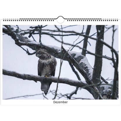 ed317156-9134-4d72-8ee5-03e0e4cec227