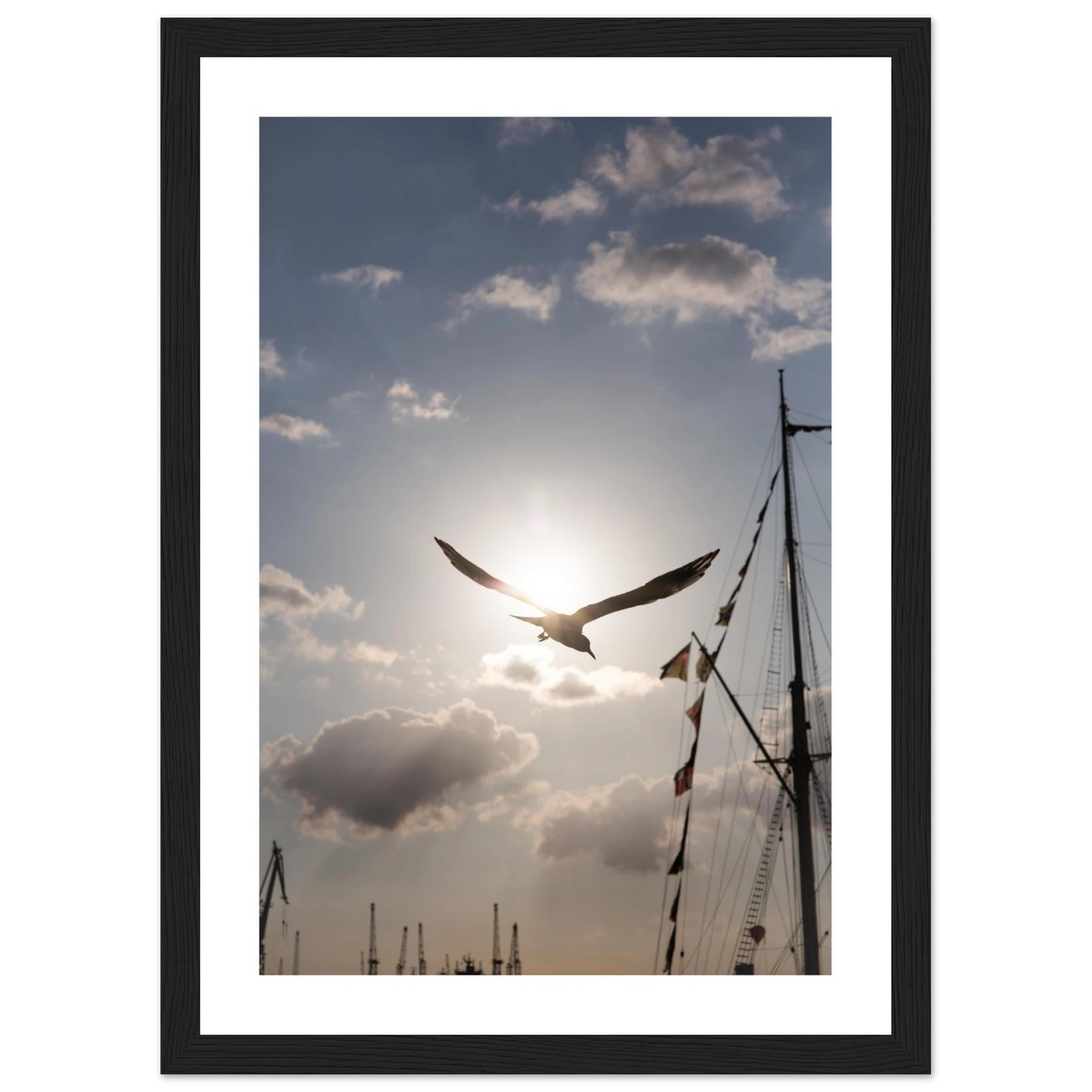 ef6dbd01-955f-4482-870f-6036fb0fe36c