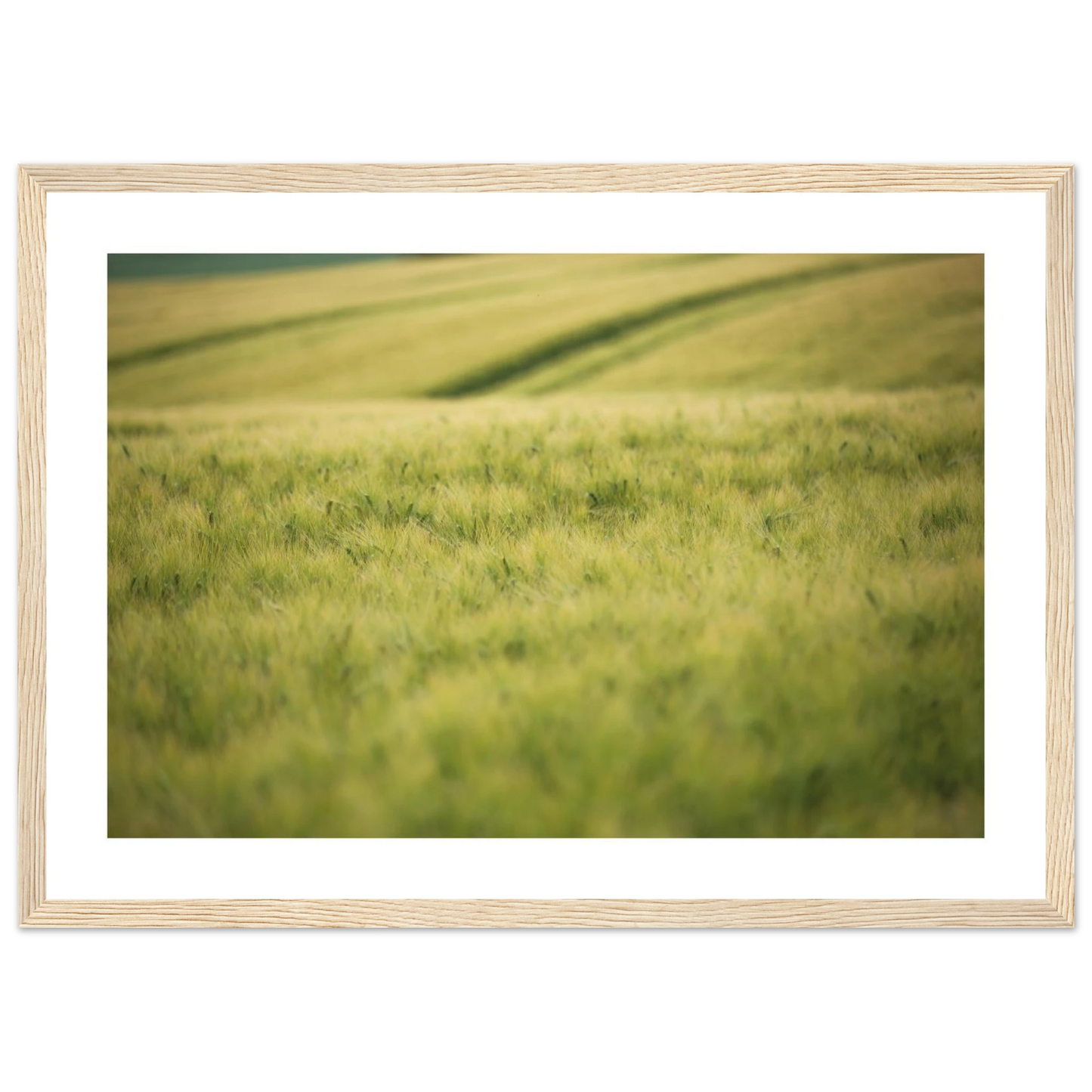 f4494aaf-0467-4f92-812c-65d0ad3e14ba