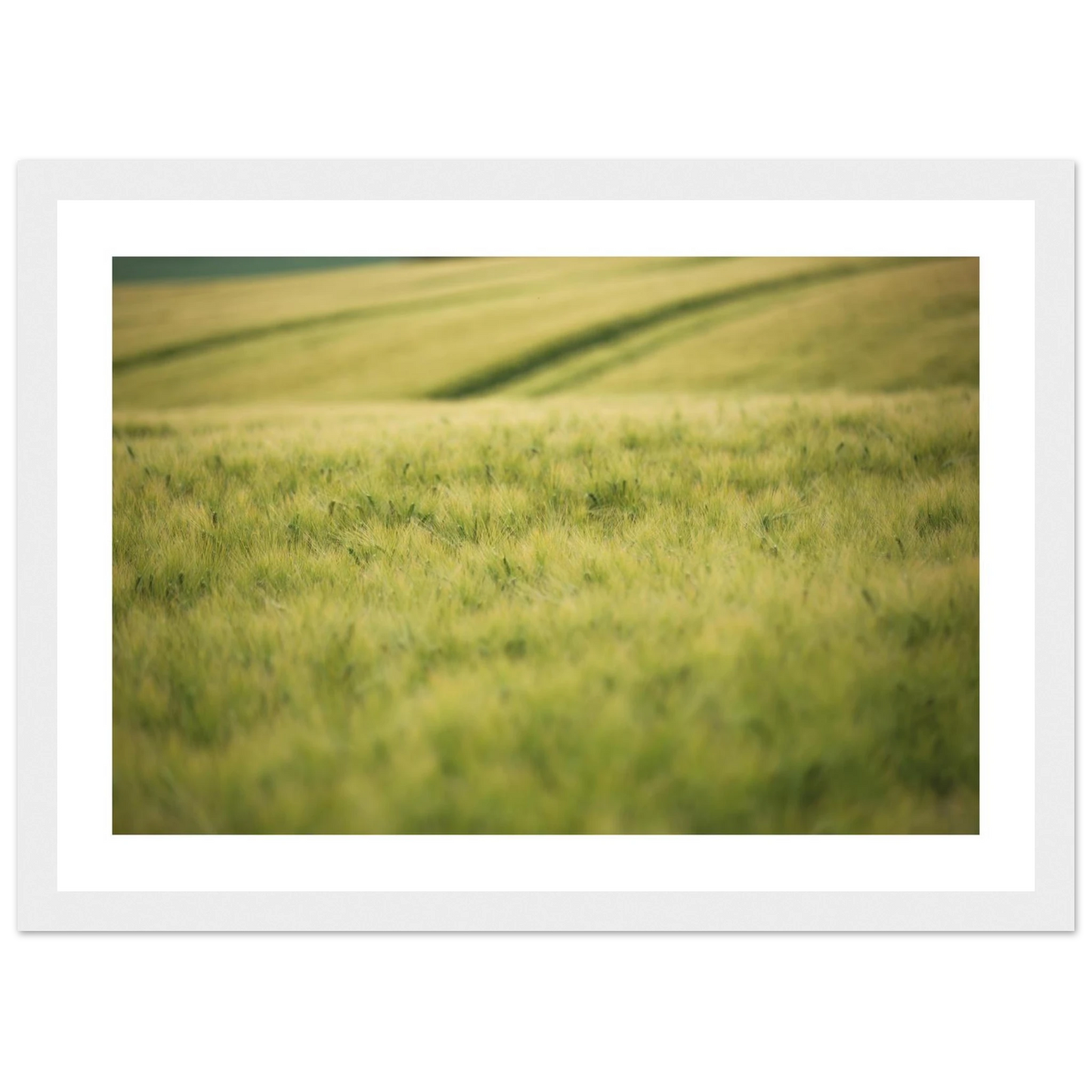 f951e8c6-e5f5-405c-8678-f484af7bc48b