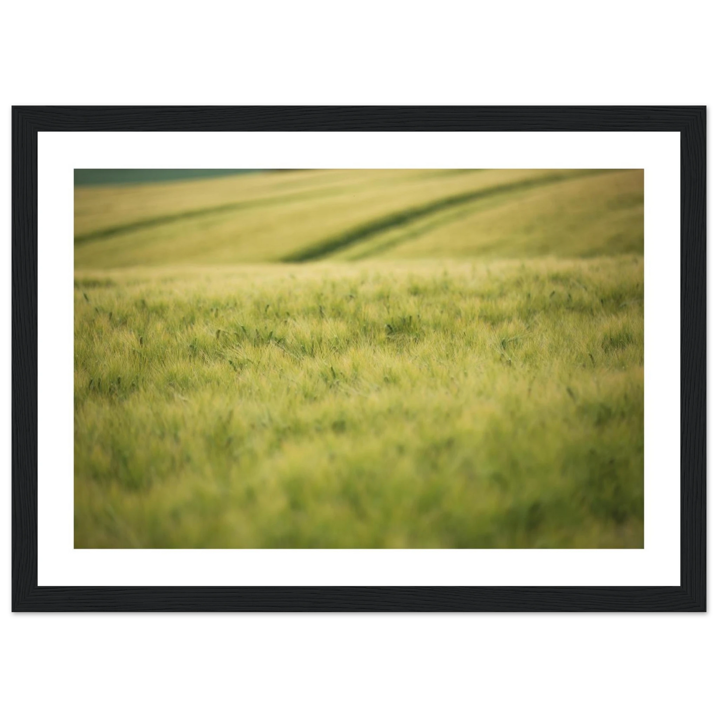 fc36ed16-d71a-4f3b-8ca0-18c973f1051b