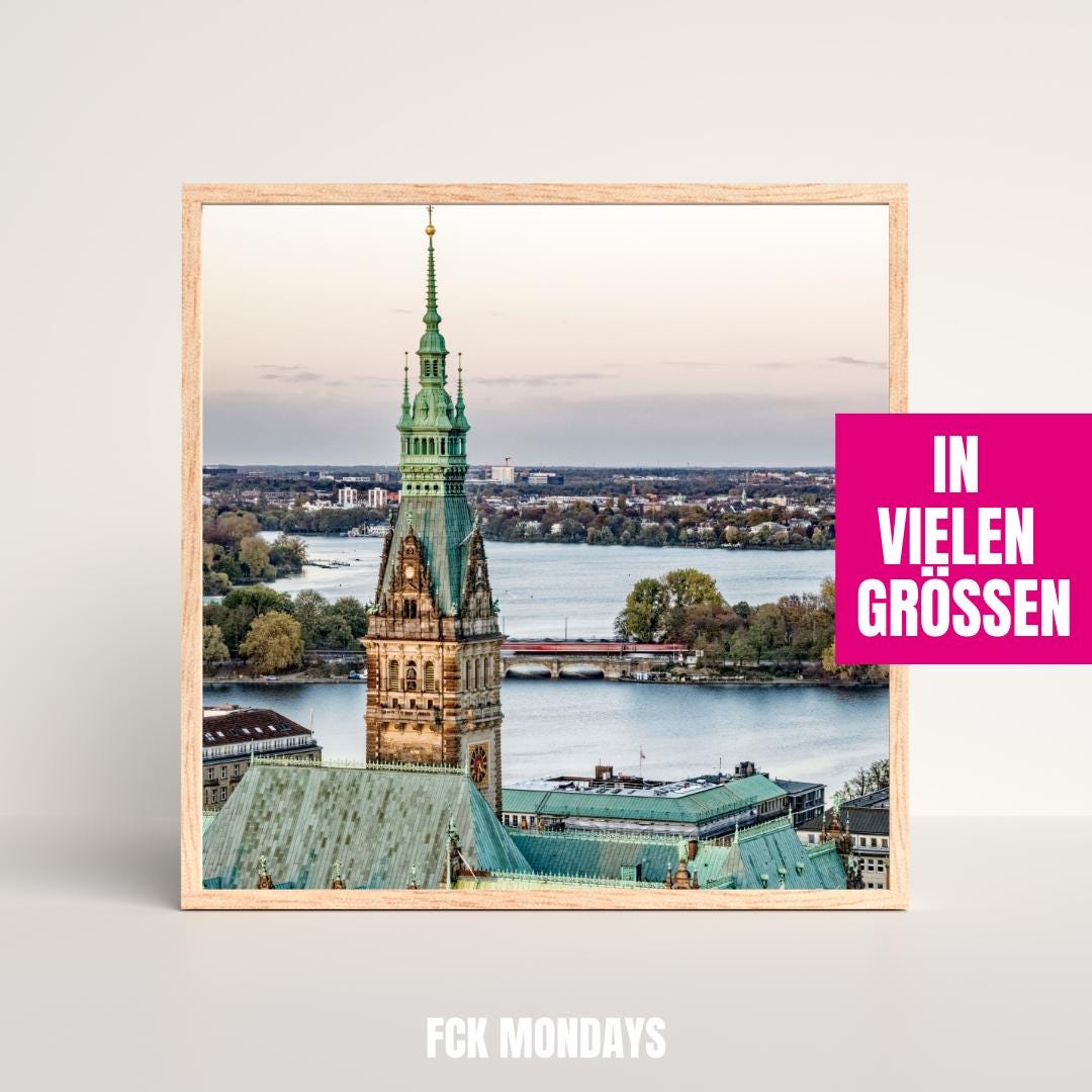 Hamburg Rathaus & Außenalster Poster | Hamburger Rathaus Panorama | Alsterblick Fotokunst | Hanseatische Architektur | Hamburg Wandbild