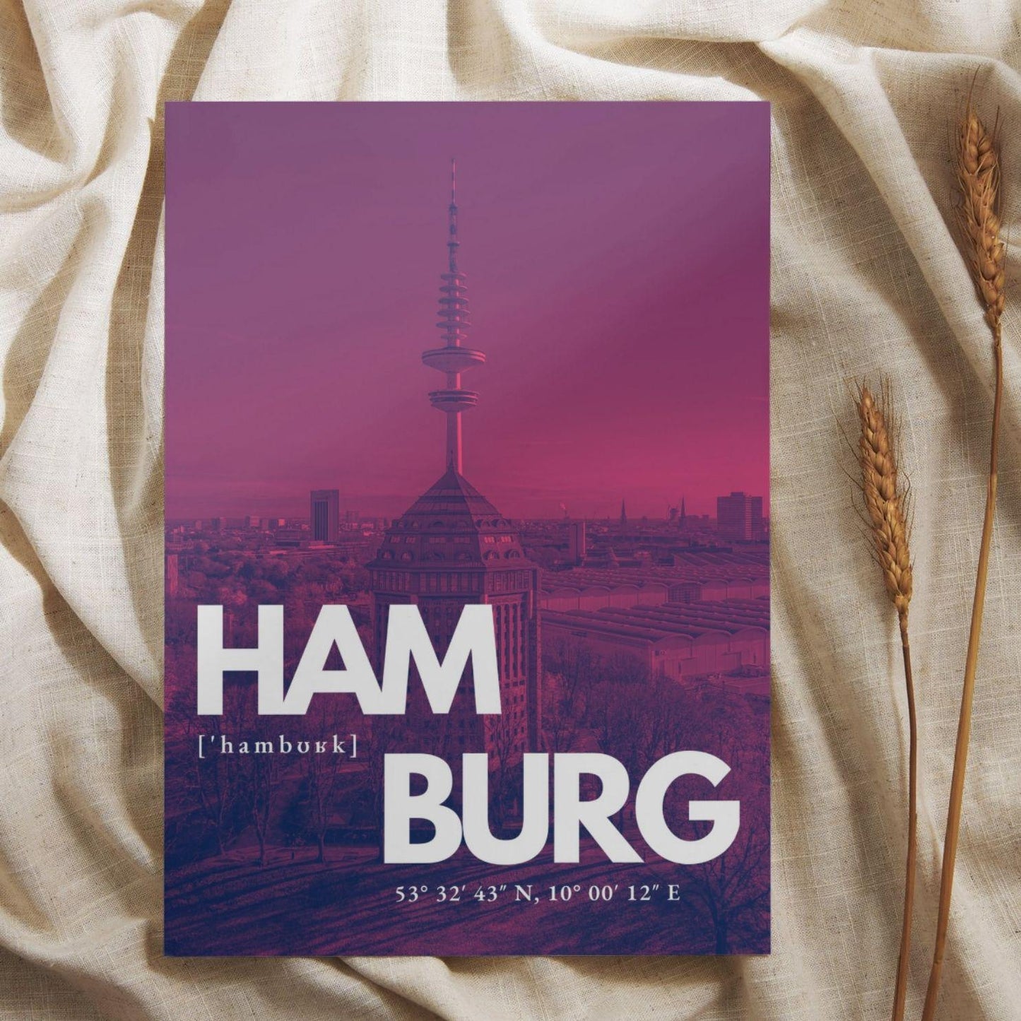 Hamburg Rathaus Poster | Binnenalster & Außenalster Fotografie | Hamburg Innenstadt Wandbild | Rathausmarkt Plakat | Souvenir Fotokunst