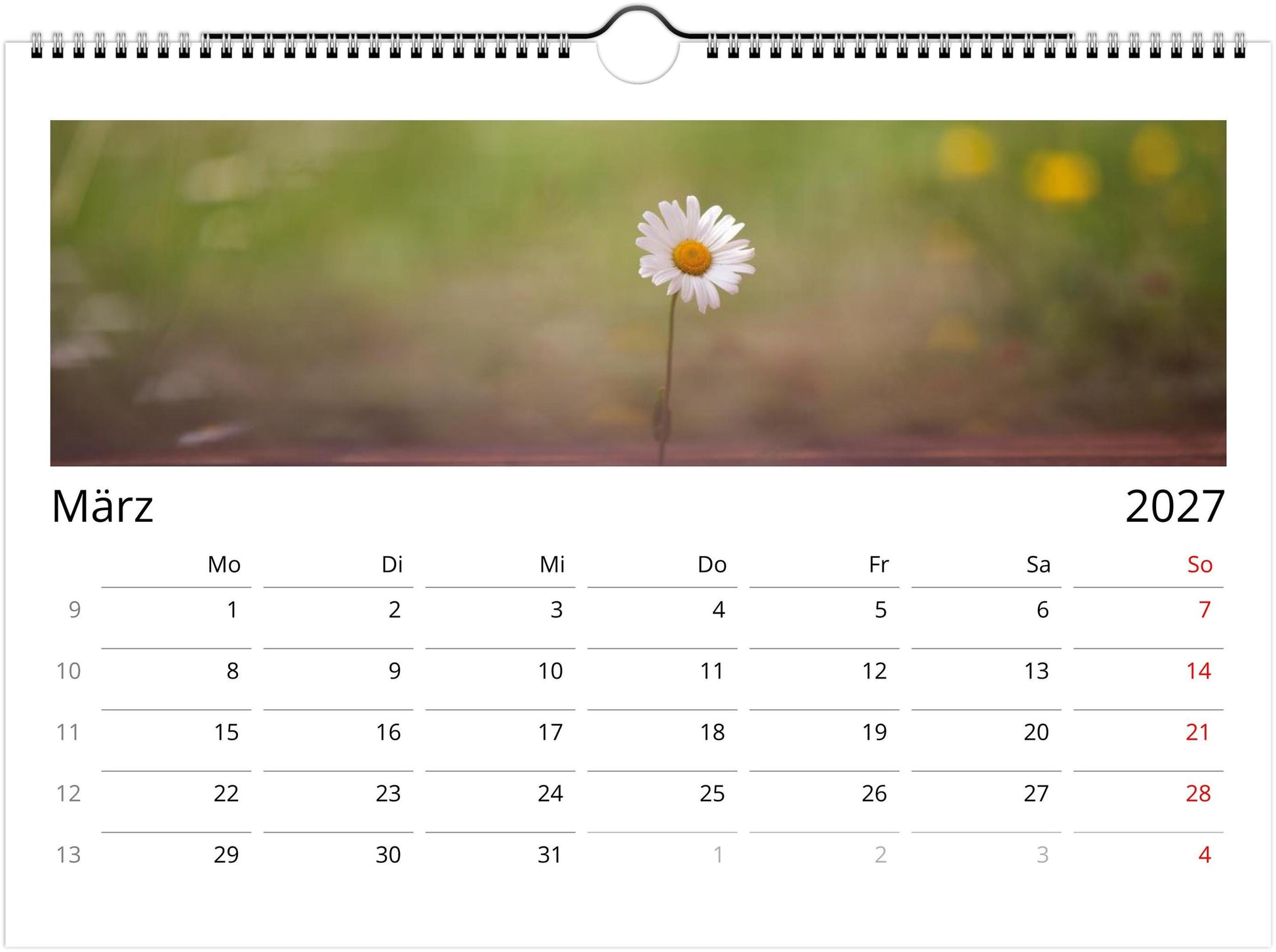 Natur Fotokalender 2027 | Wandkalender mit Kalendarium | Küsten- & Reisekalender | Geschenk für Deutschland Deutschland USA Küste Fotografie