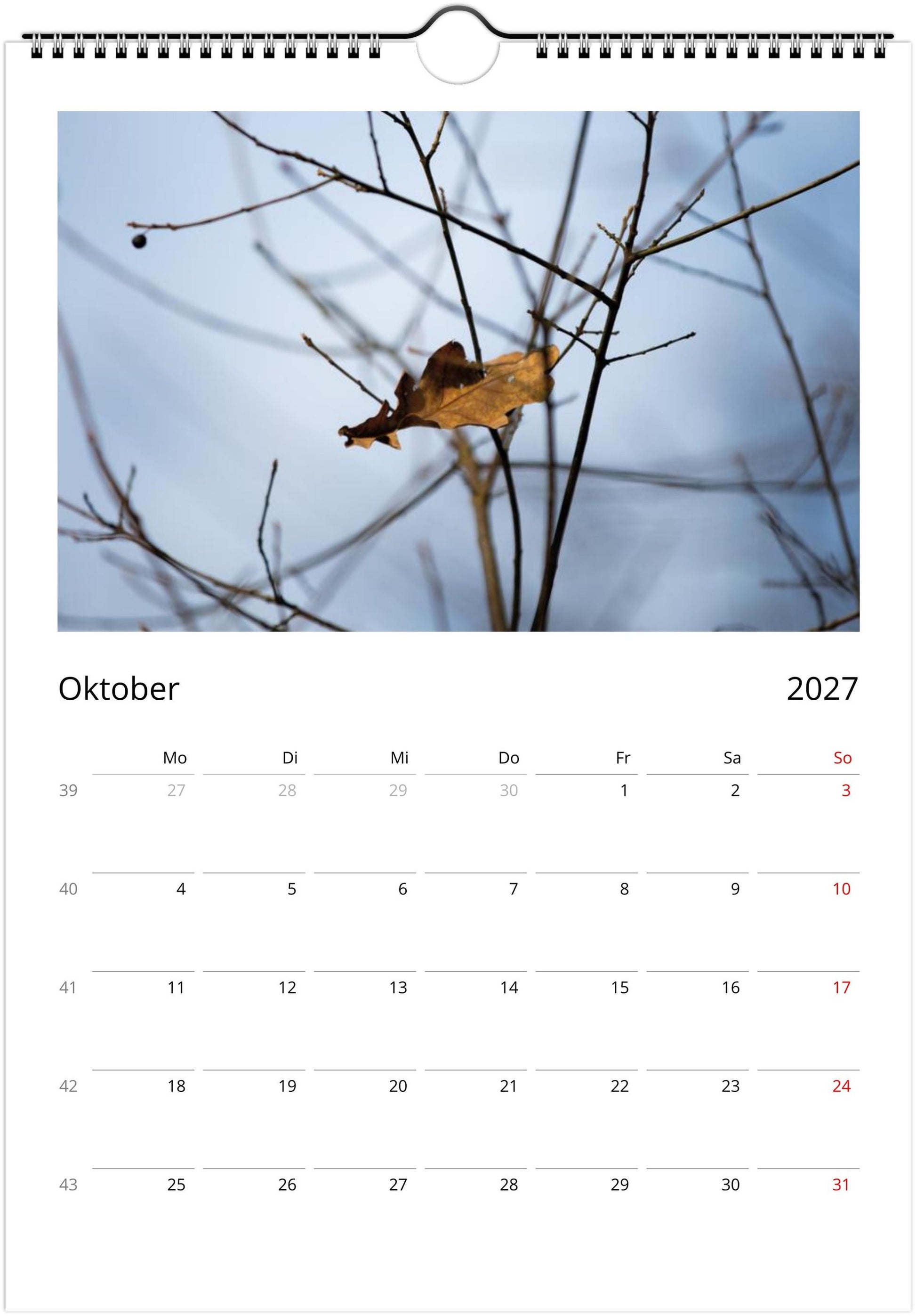 Natur Fotokalender 2027 Hochformat | A4 A3 Wandkalender mit Kalendarium | Küsten- und Reisekalender Geschenk USA Deutschland Küste Europa