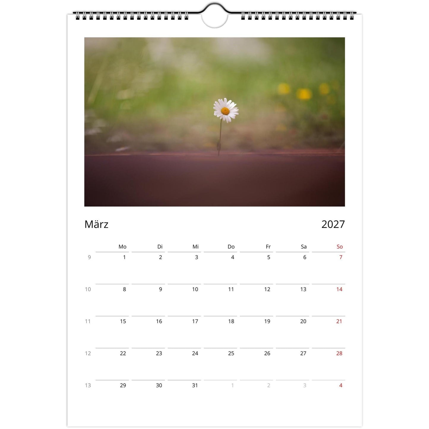 Natur Fotokalender 2027 Hochformat | A4 A3 Wandkalender mit Kalendarium | Küsten- und Reisekalender Geschenk USA Deutschland Küste Europa